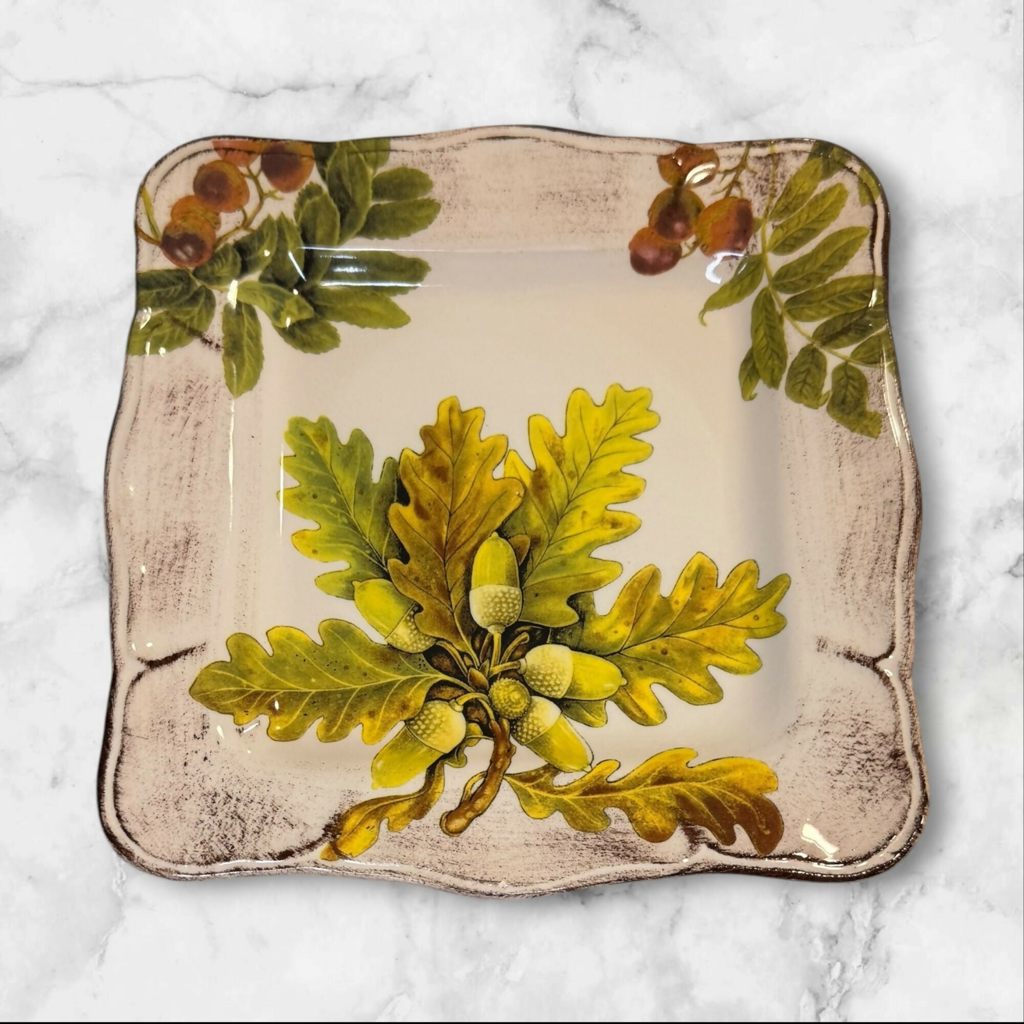 Sur La Table Acorn & Fig Square Luncheon Plates | Set of 5 | Excellent Condition