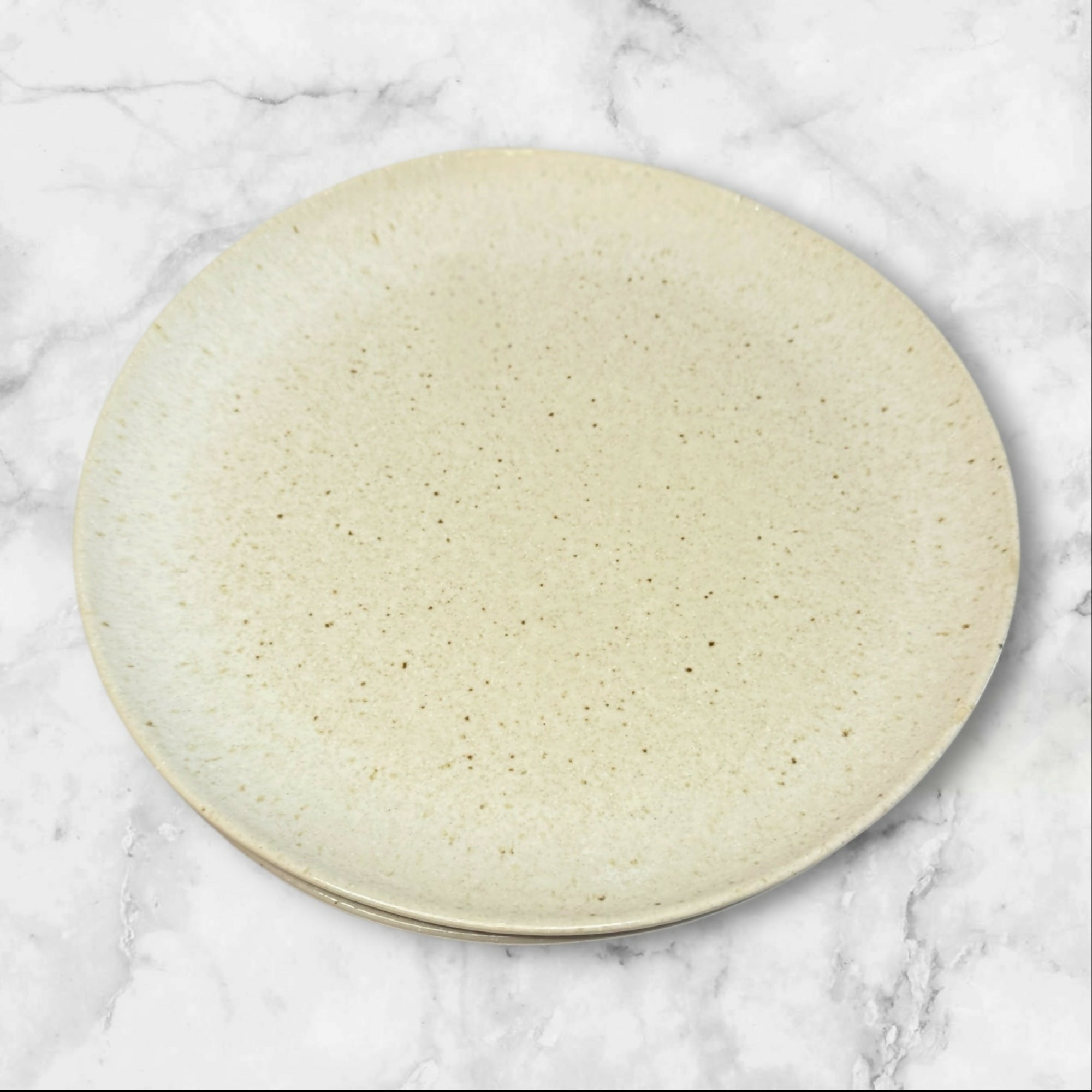 Crate & Barrel Wilder Dinner Plates | Set of 2 | Excellent Condition