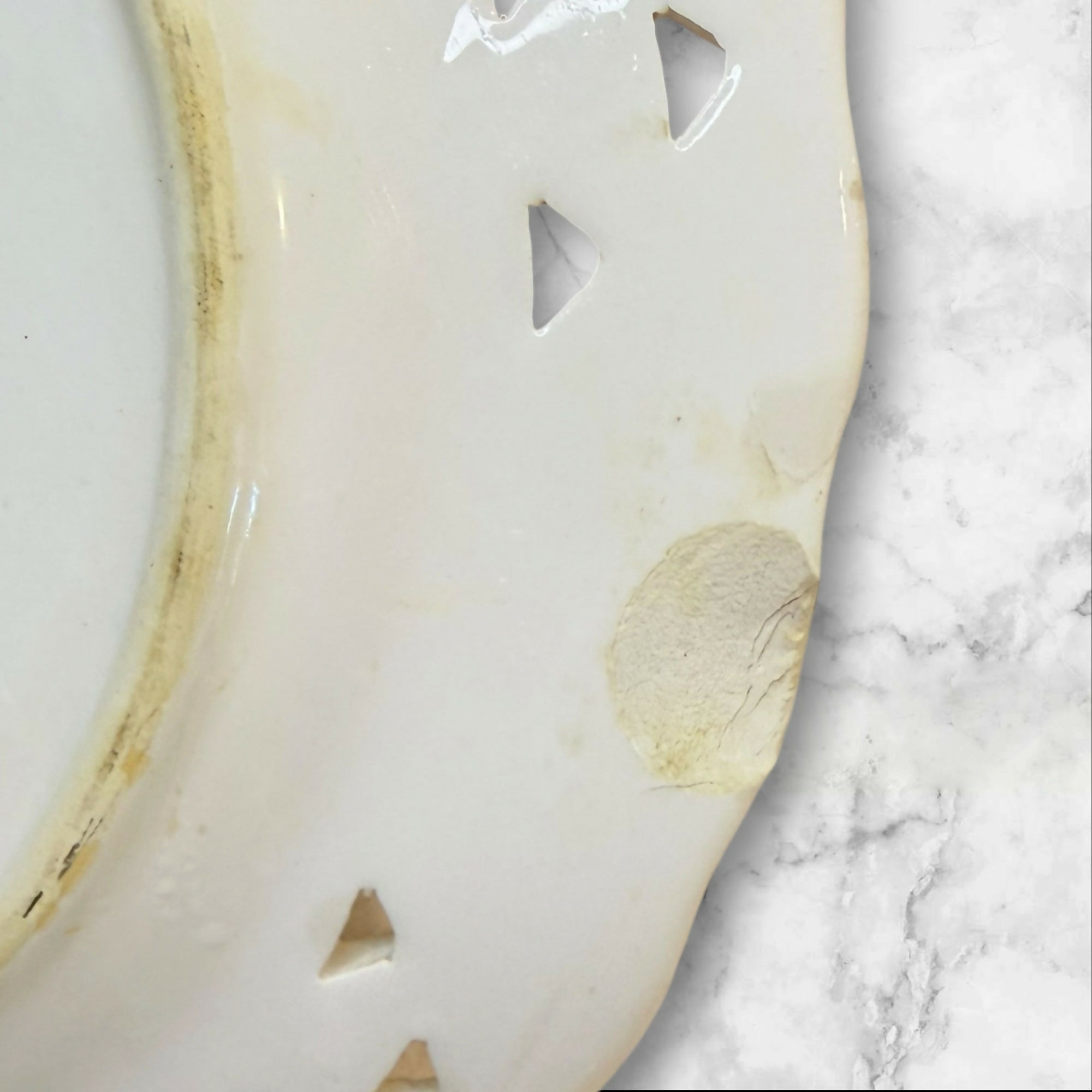 Wine & Cheese Ceramic Dinner Plates | Set of 3 | Gently Used