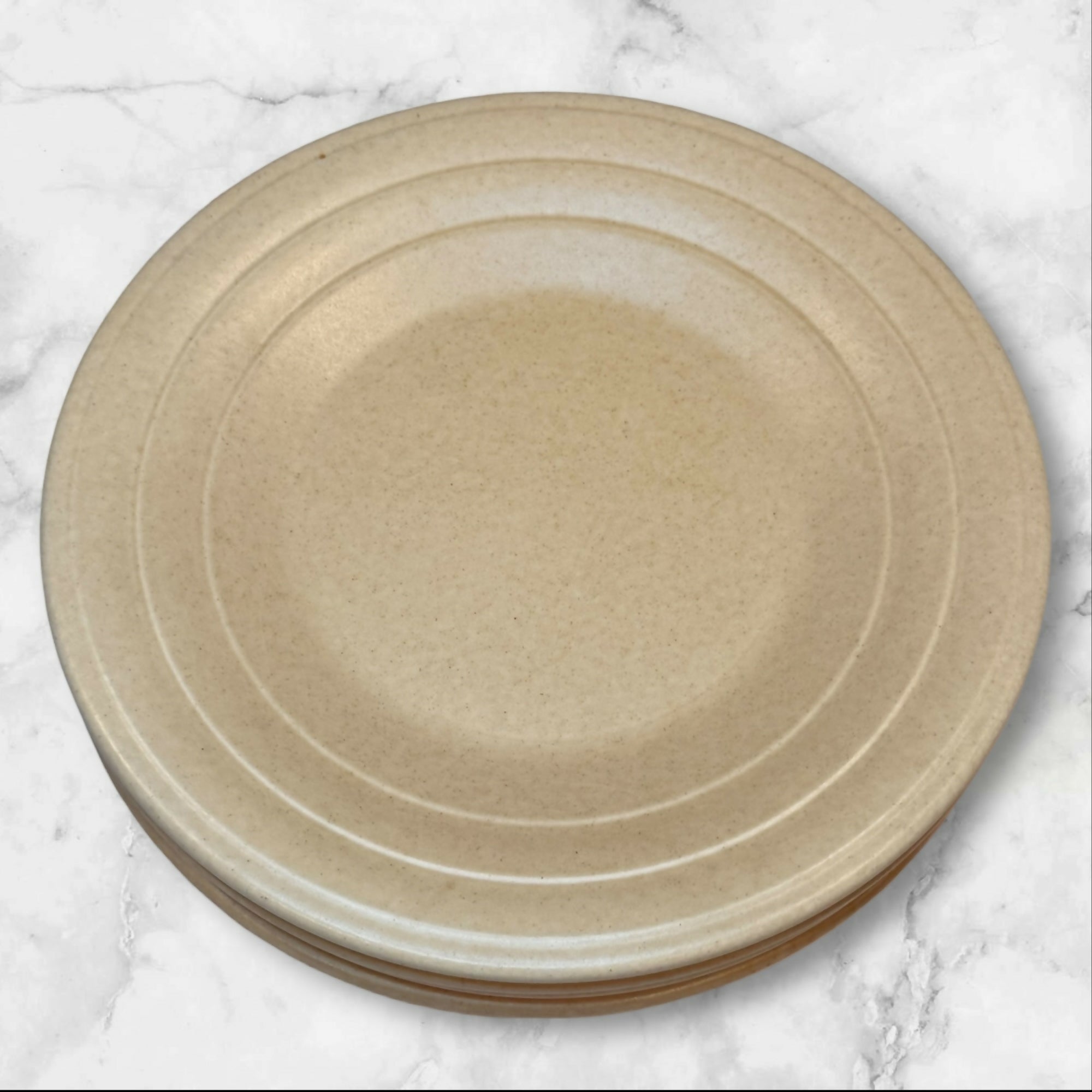 Villa Romana Speckled Stoneware Dinner Plates | Set of 4 | Gently Used