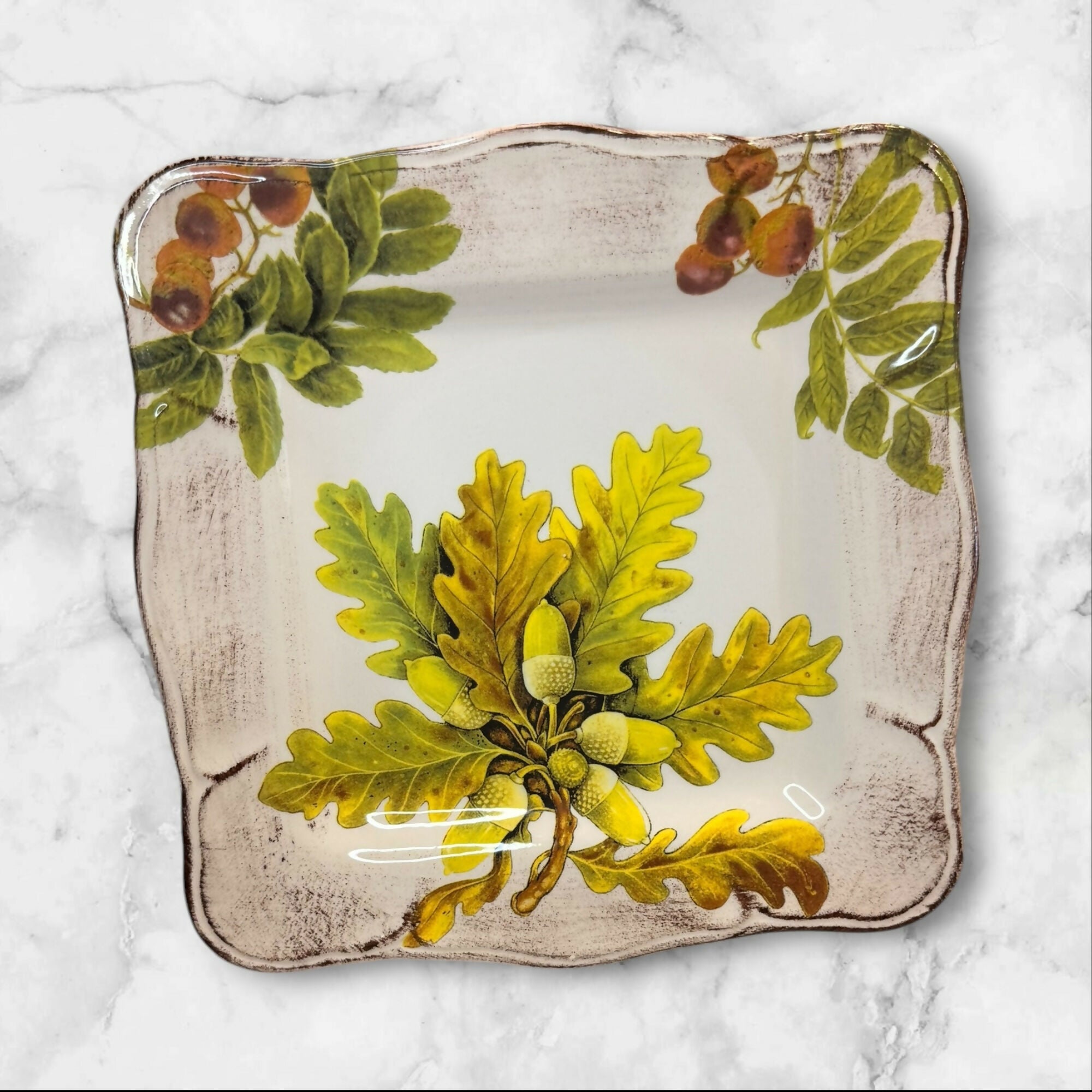 Sur La Table Acorn & Fig Square Luncheon Plates | Set of 5 | Excellent Condition