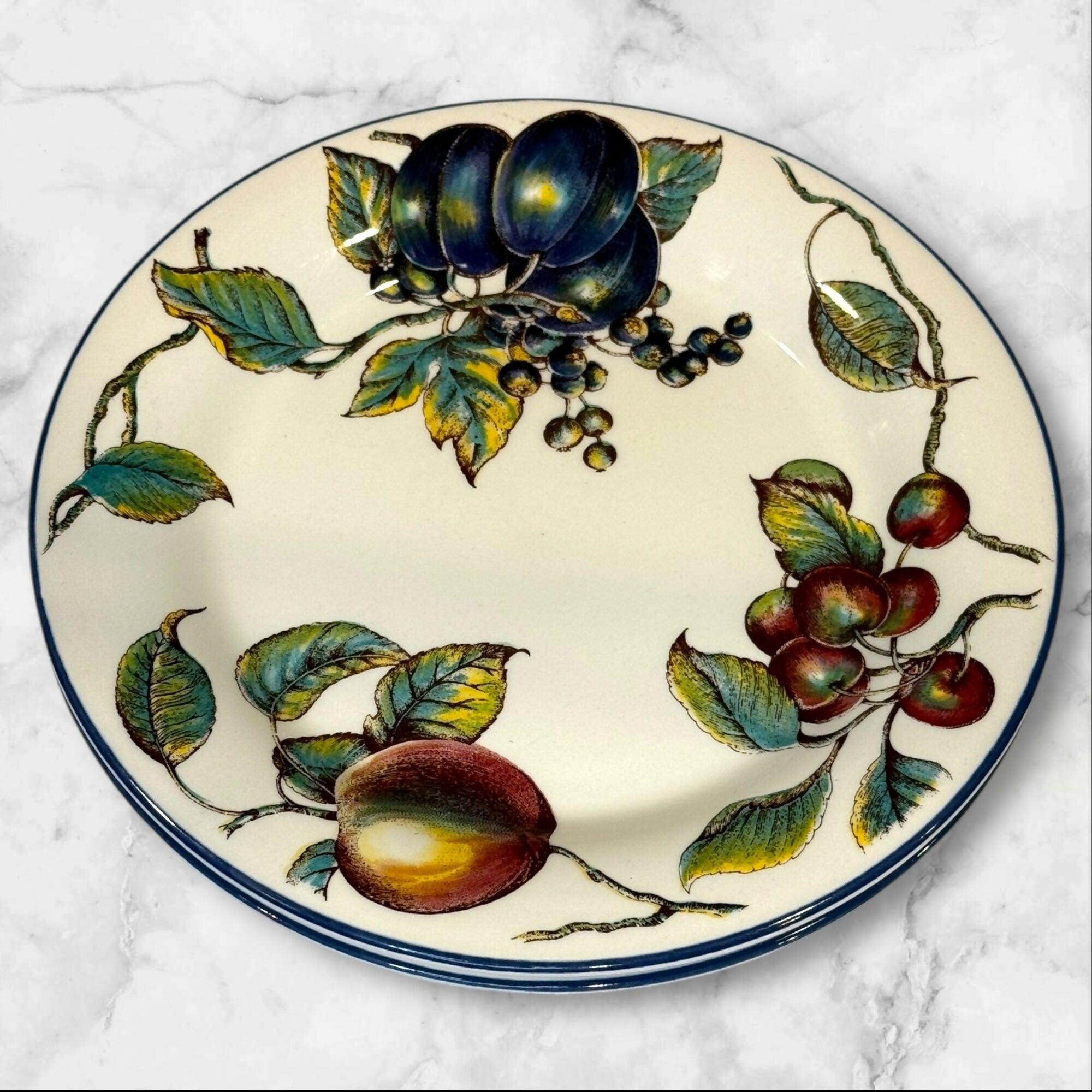 Pier 1 Macintosh Earthenware Dinner Plates & Soup Bowls | Set of 8 | Excellent Condition