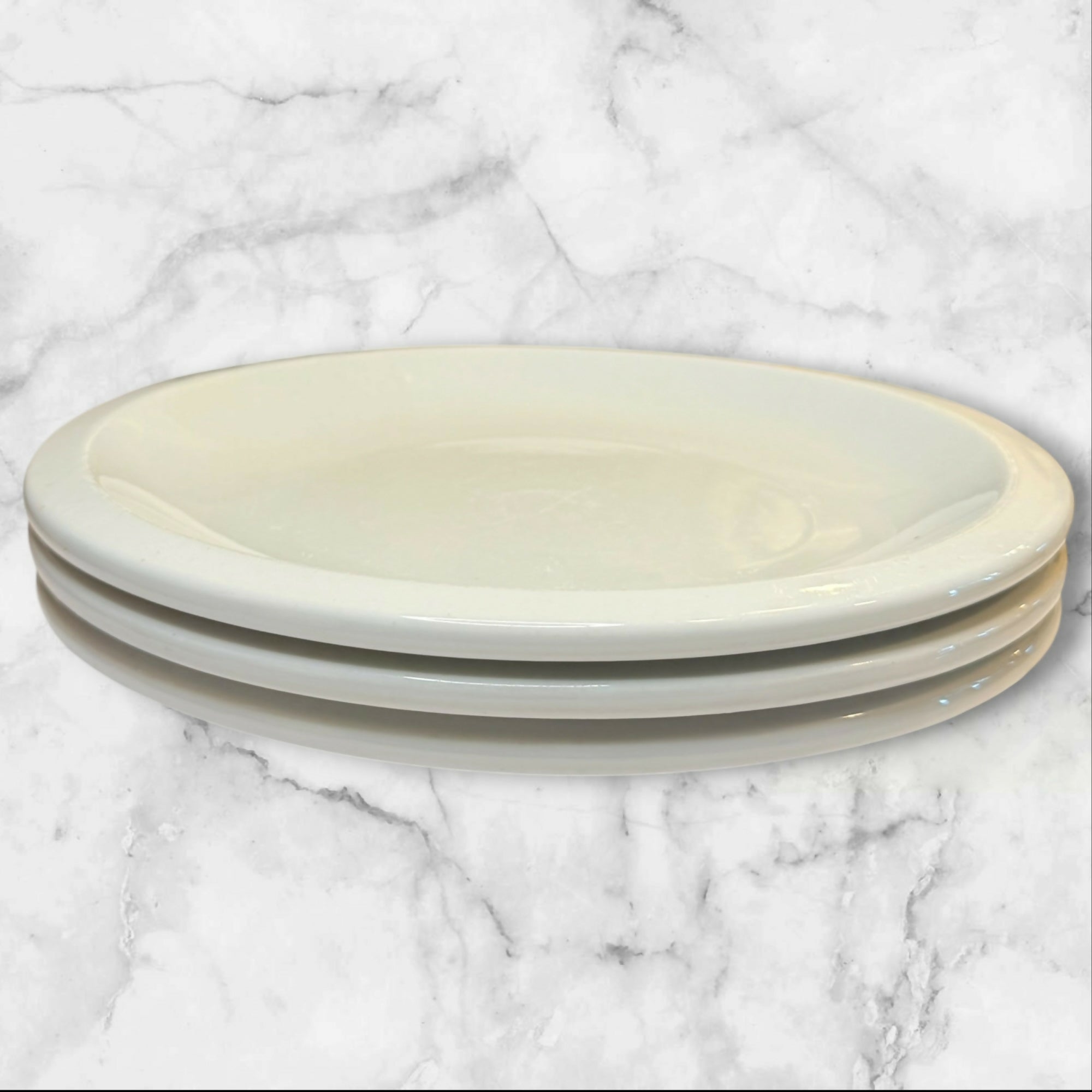 CulinaryArts Raised Rim Dinner Plates | Set of 3 | Excellent Condition