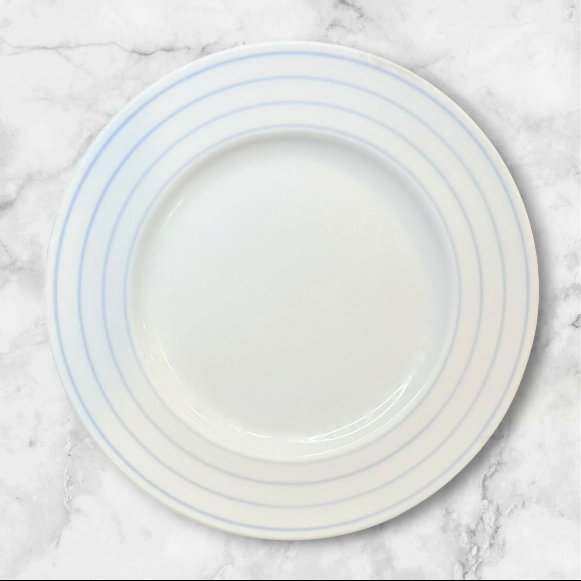 Crate & Barrel Jace Porcelain Dinner Plates | Set of 6 | Gently Used