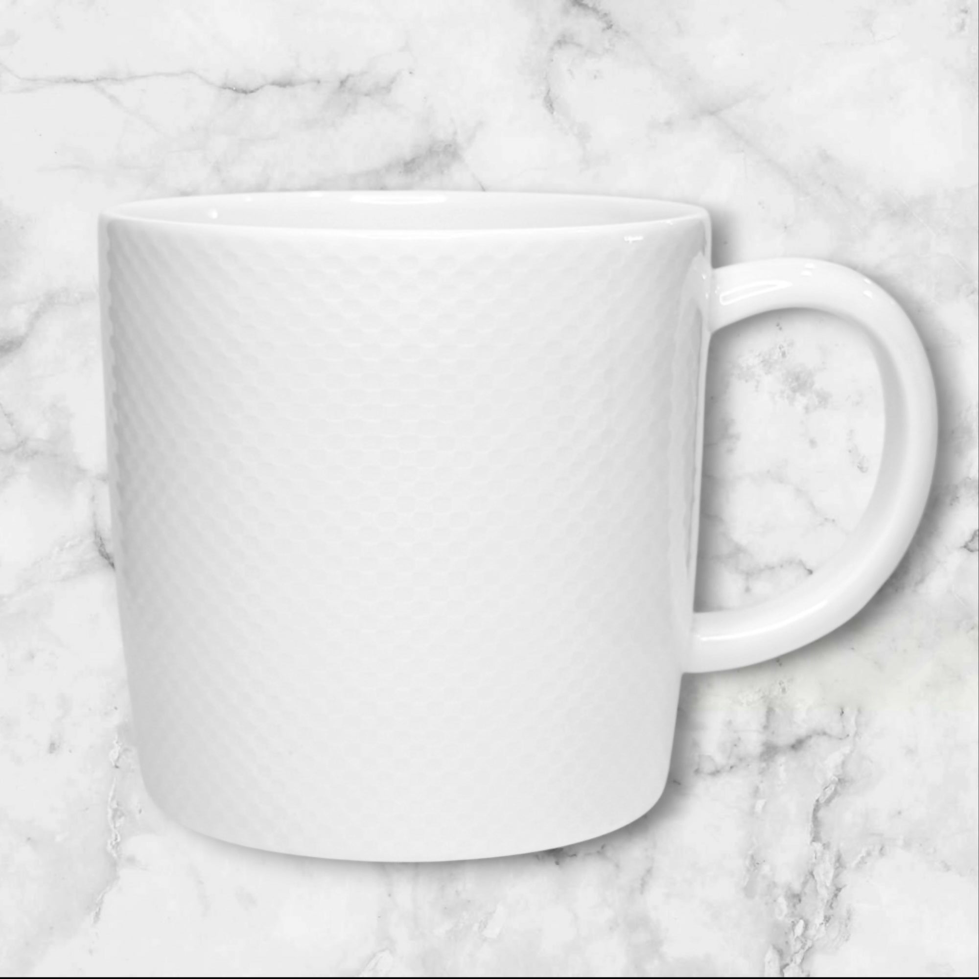 Crate & Barrel Nikko Reflections Mugs | Set of 2 | Excellent Condition