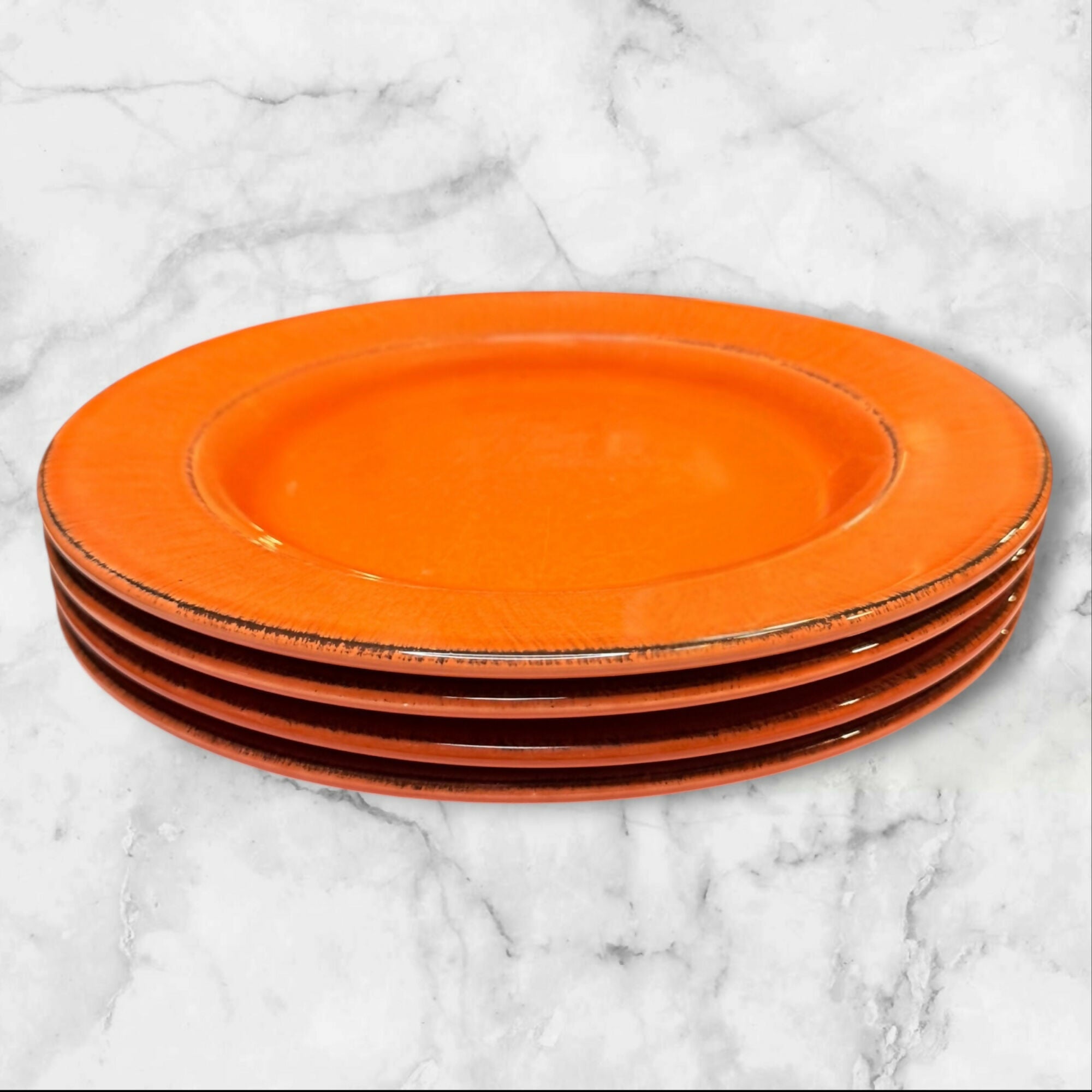 Pier 1 Toscana Terracotta Dinner Plates Made in Italy | Set of 4 | Good Condition