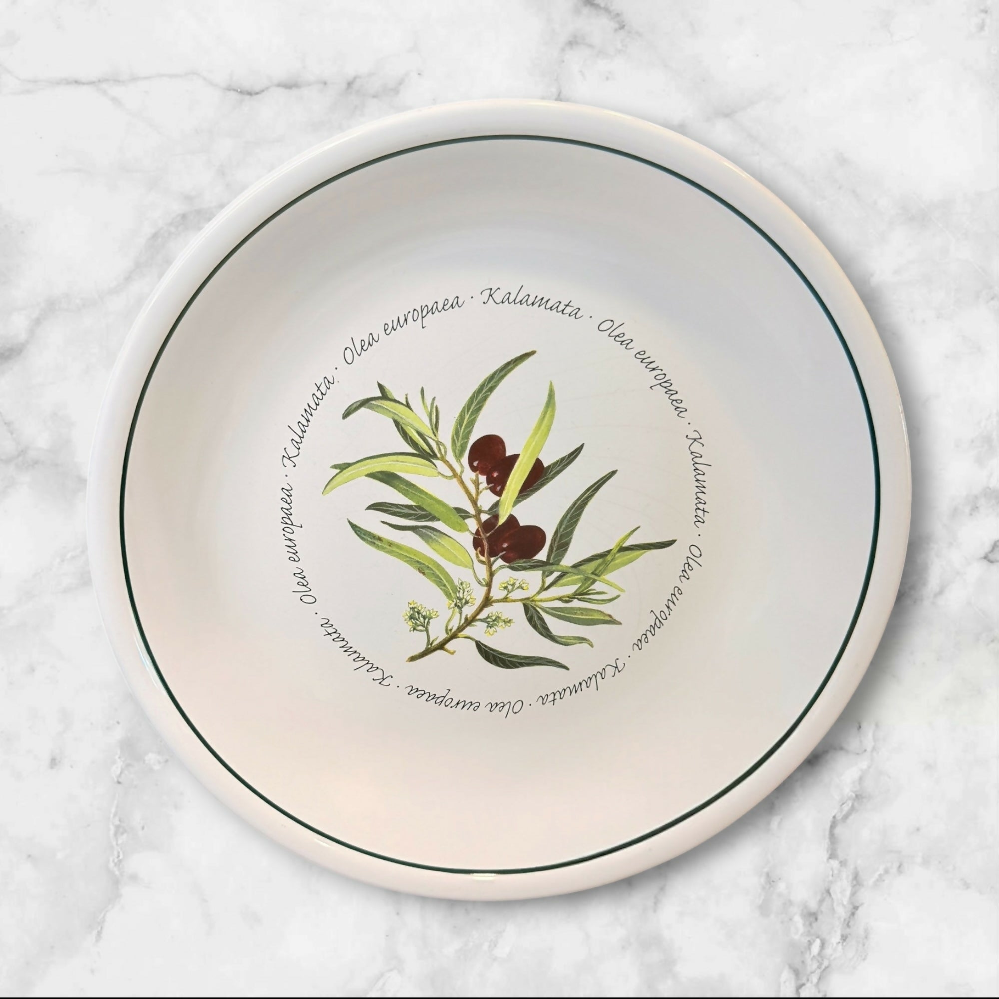Williams Sonoma WSO20 Olive Pasta Bowls | Set of 4 | Great Condition