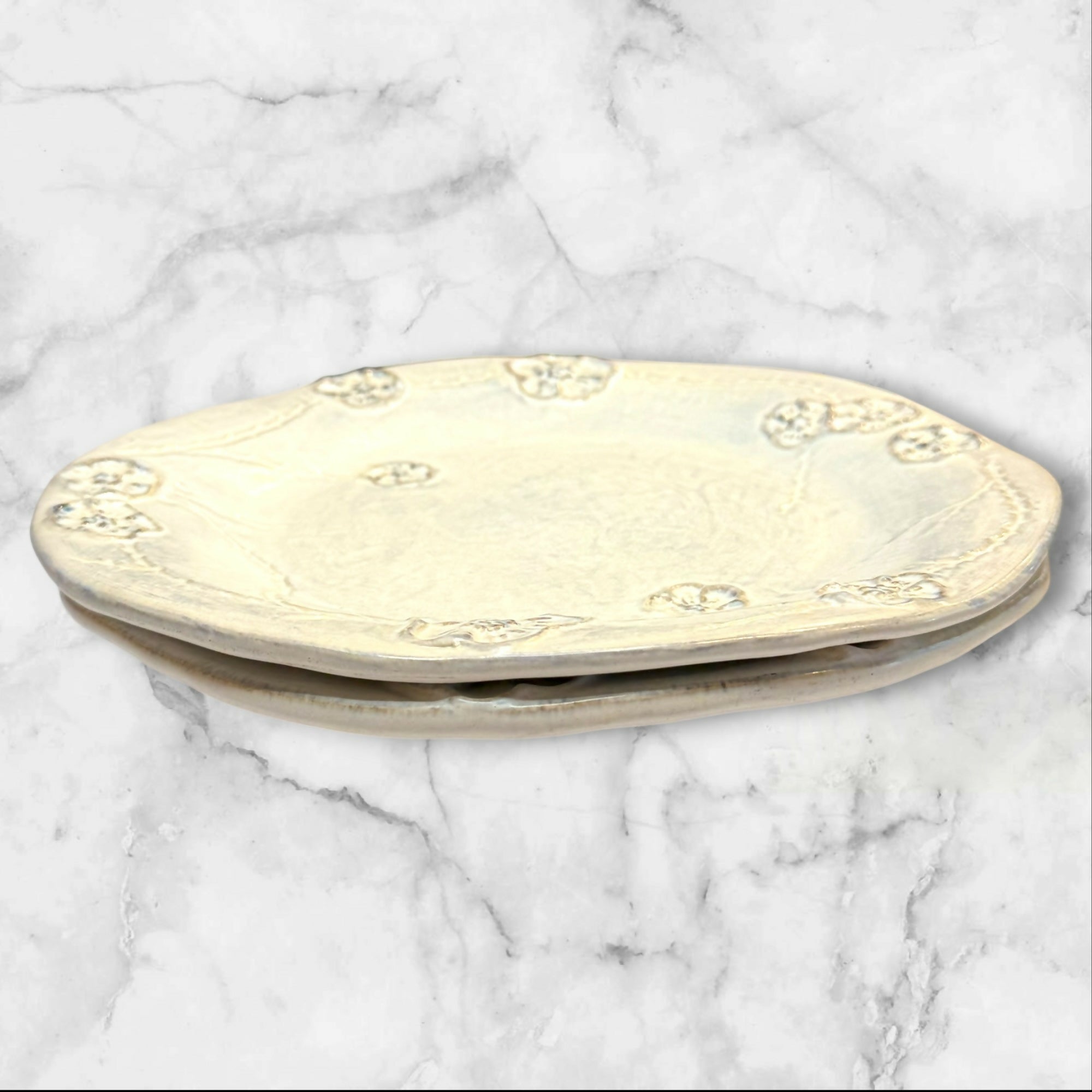 Anthropologie VIVI Floral Dinner Plates | Set of 2 | Great Condition