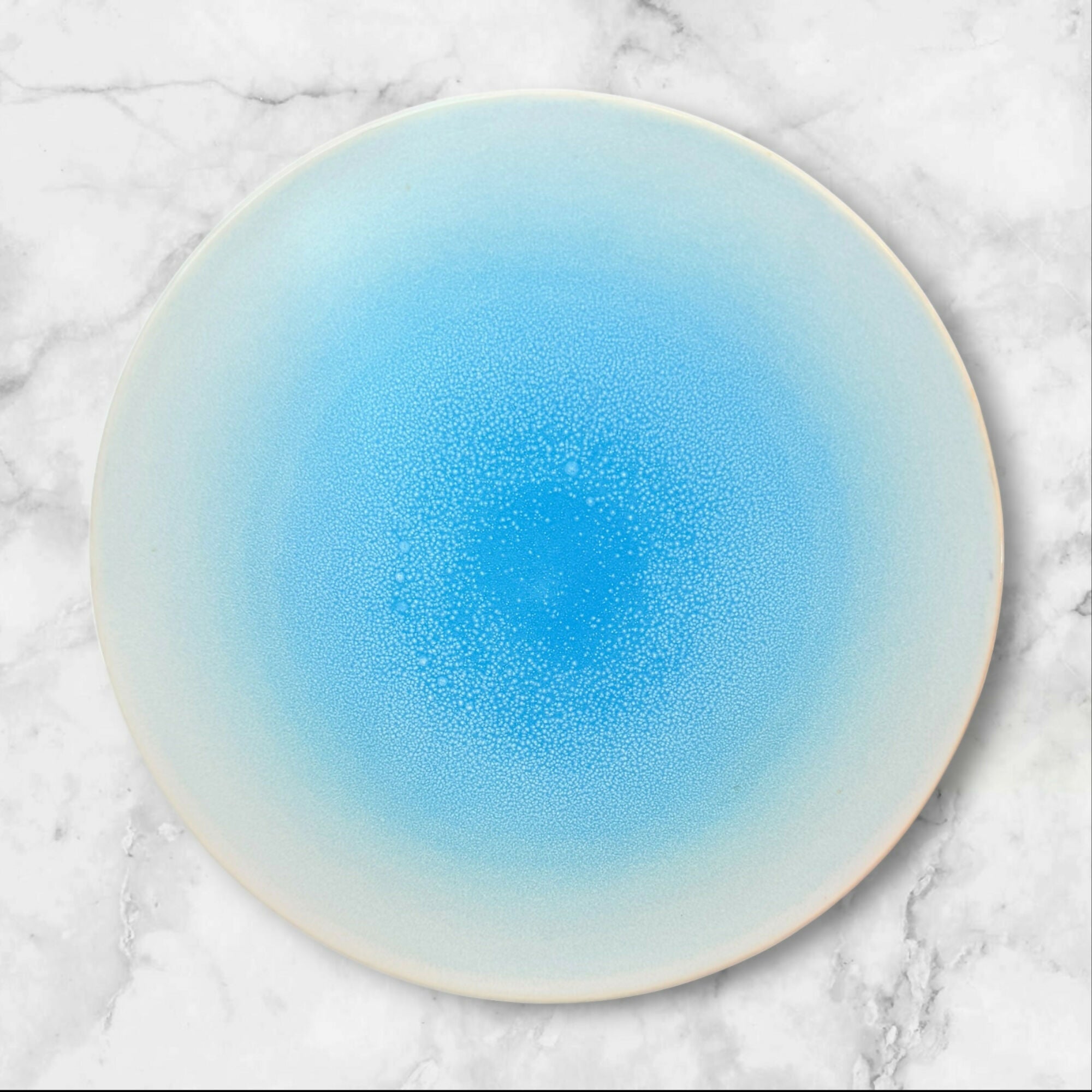 Food Network Harbor Blue Dinner Plates | Set of 3 | Great Condition