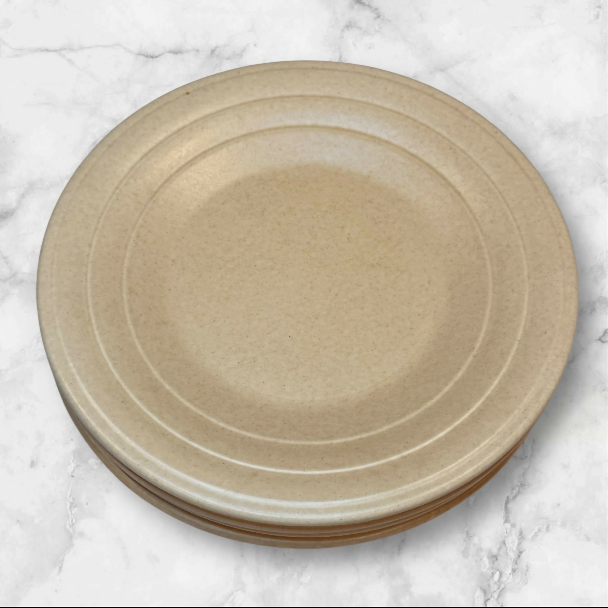 Villa Romana Speckled Stoneware Dinner Plates | Set of 4 | Gently Used