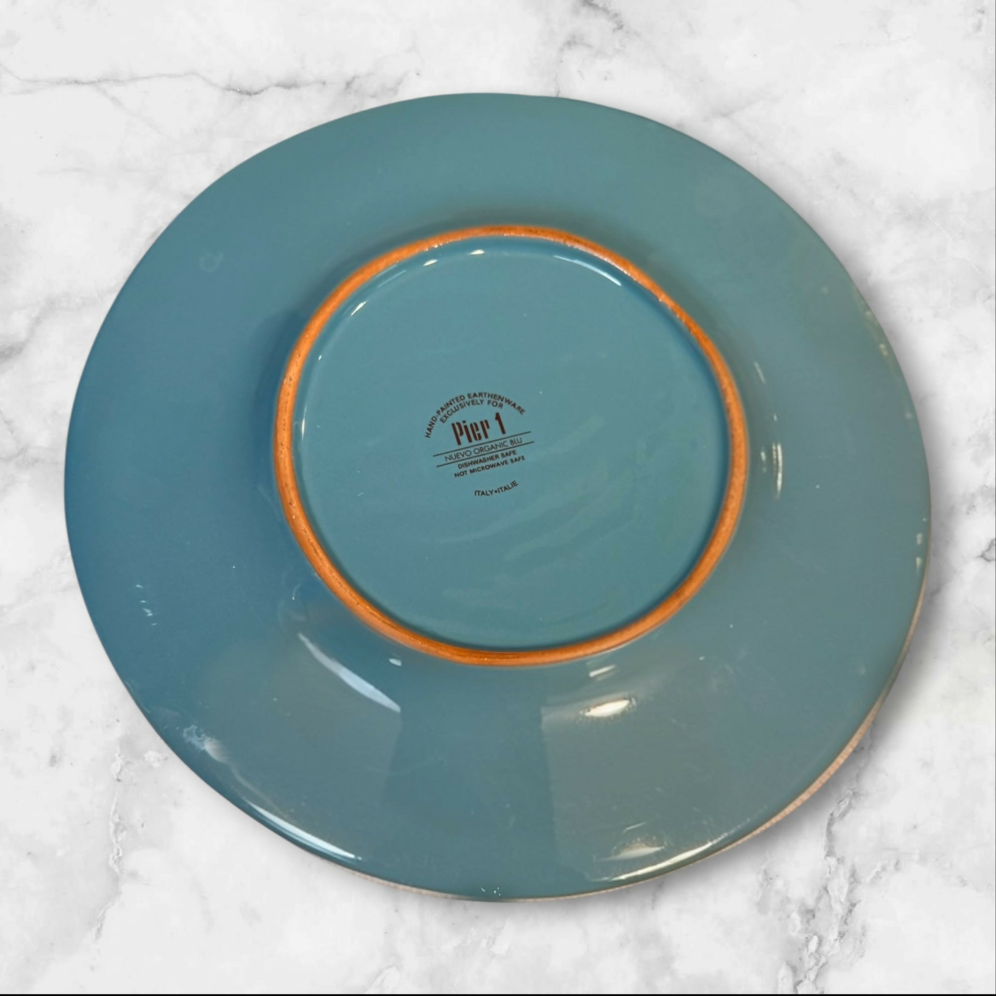 Pier 1 Nuevo Organic Blue Dinner Plates | Set of 2 | Great Condition