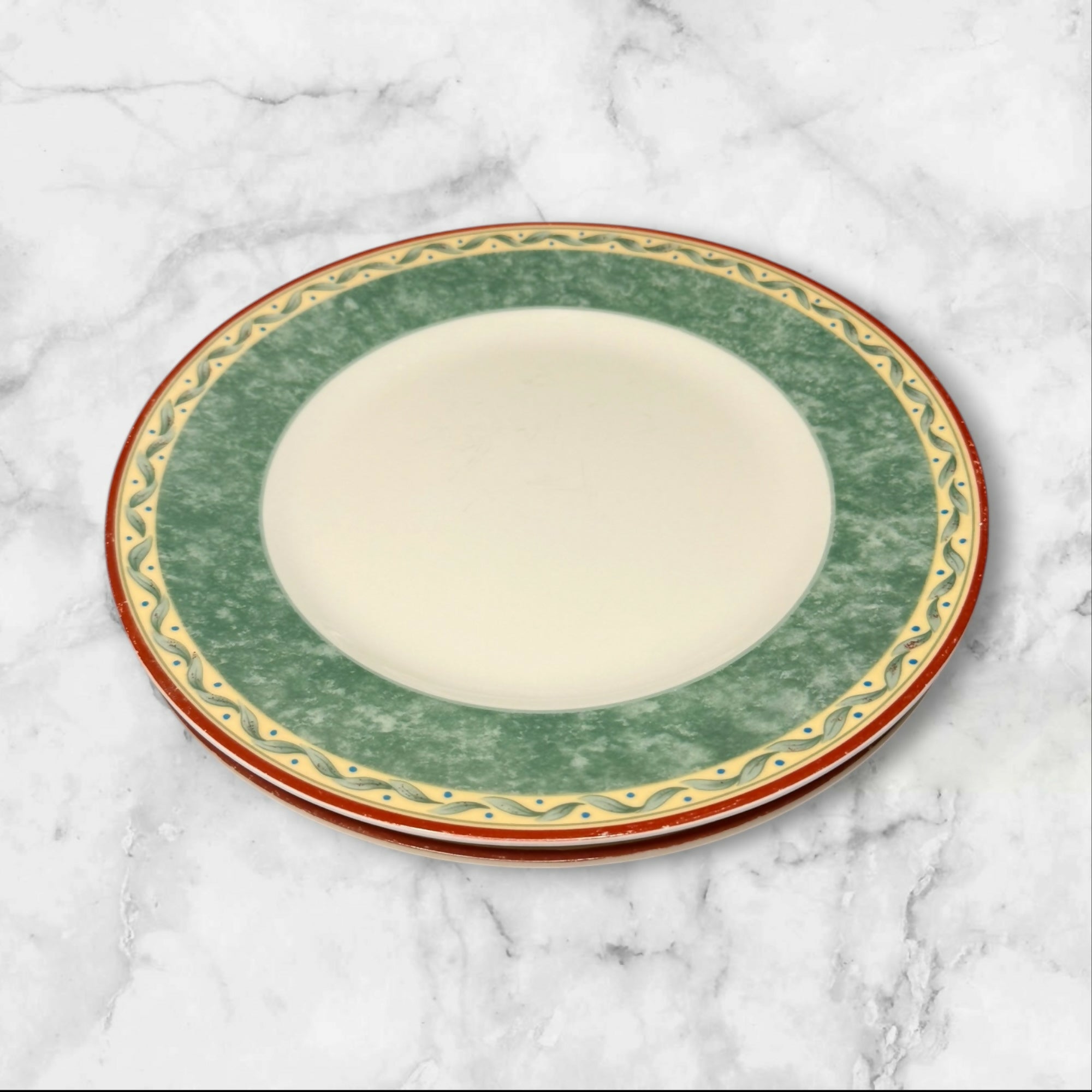 PTS Intl Provence Dinner Plates | Set of 2 | Excellent Condition