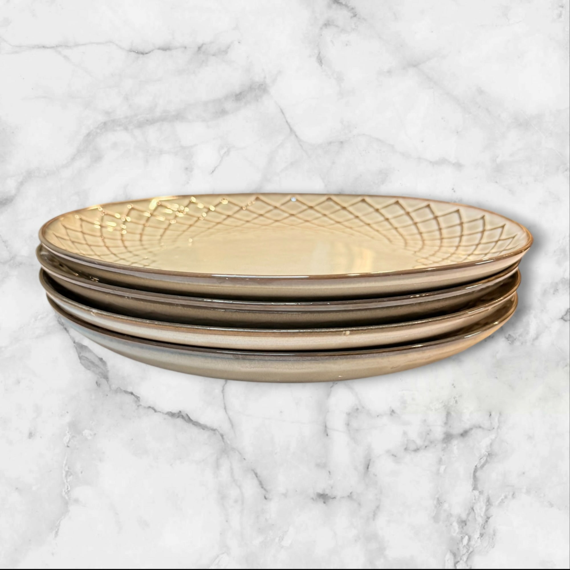 Pier 1 Reactive Dinner Plates Set of 4 Stoneware | Excellent Condition
