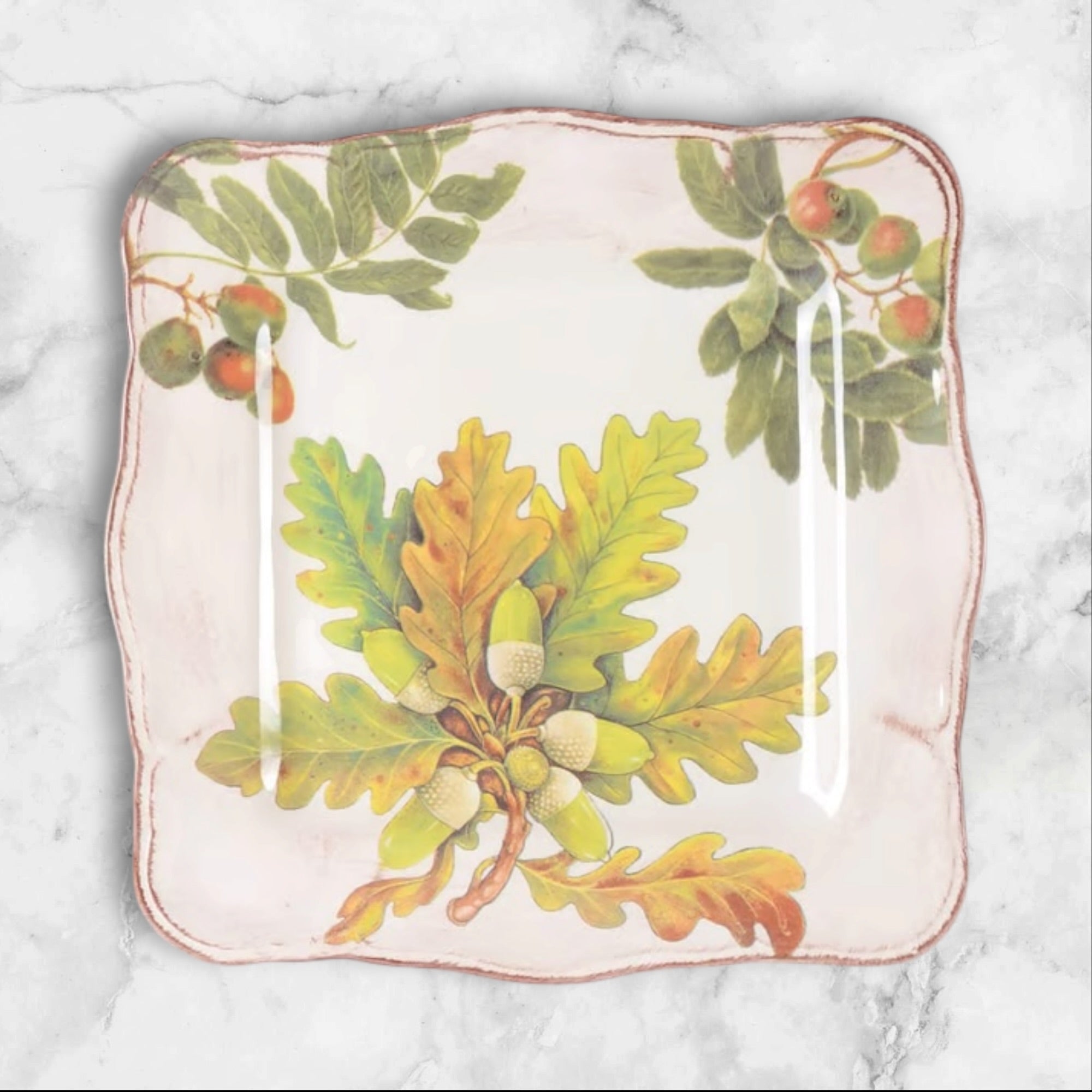 Sur La Table Acorn & Fig Square Luncheon Plates | Set of 5 | Excellent Condition