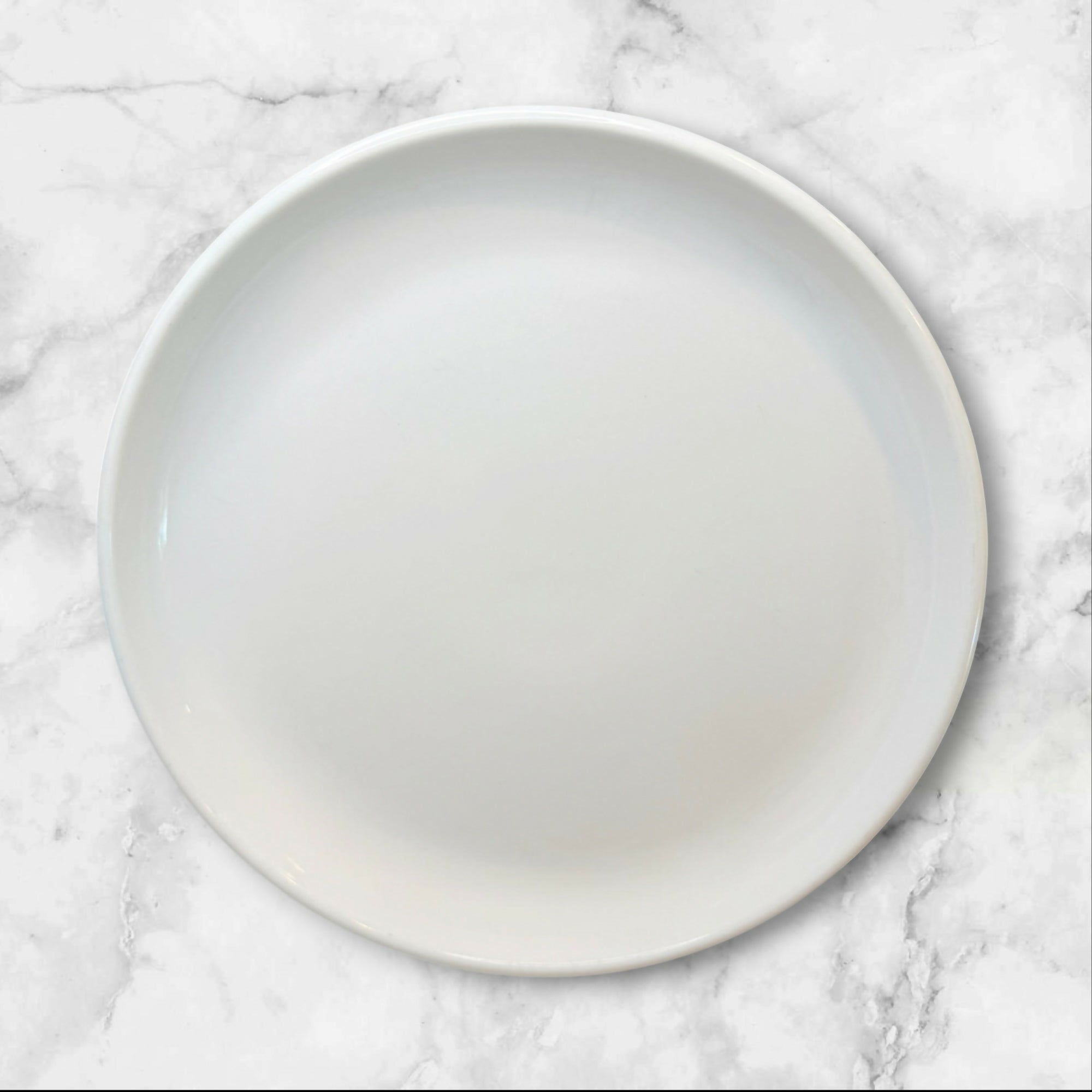 Crate & Barrel Culinary Arts Porcelain Dinner Plates | Set of 4 | Great Condition