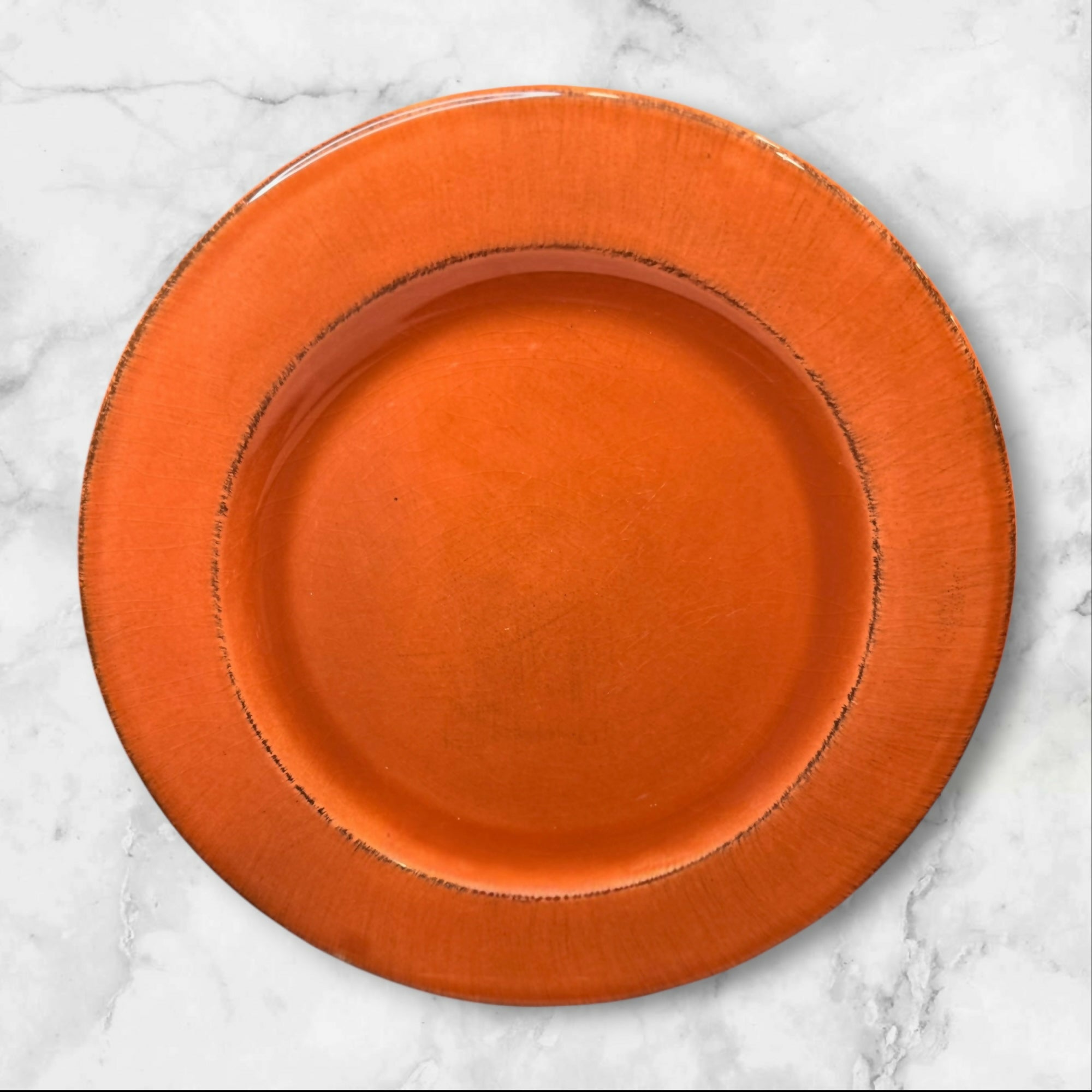 Pier 1 Toscana Terracotta Dinner Plates Made in Italy | Set of 4 | Good Condition