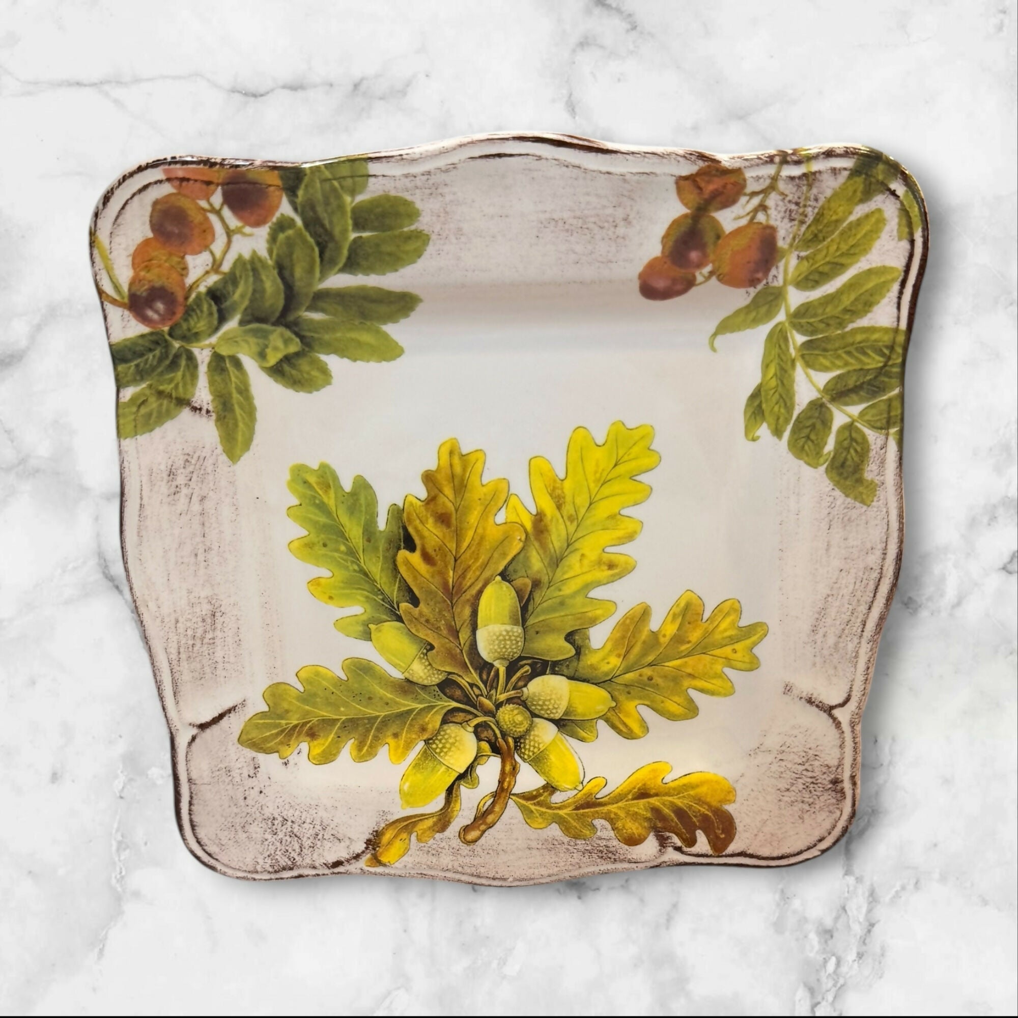 Sur La Table Acorn & Fig Square Luncheon Plates | Set of 5 | Excellent Condition