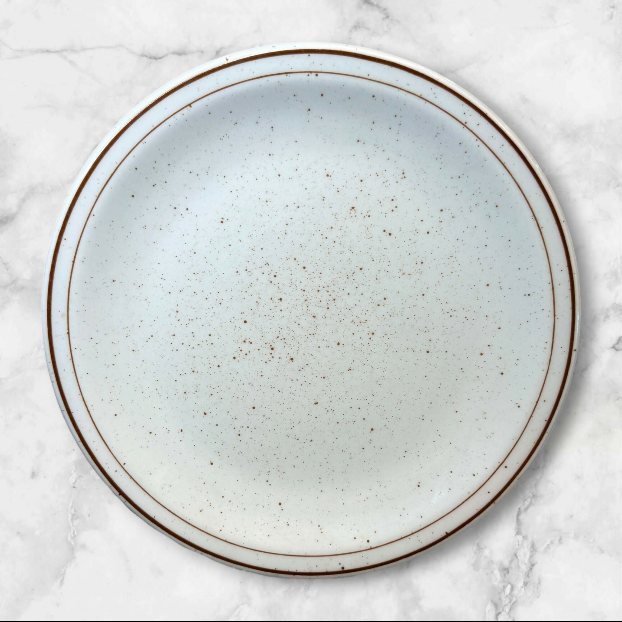 Jackson China Speckled Dinner Plates | Set of 4 | Great Condition