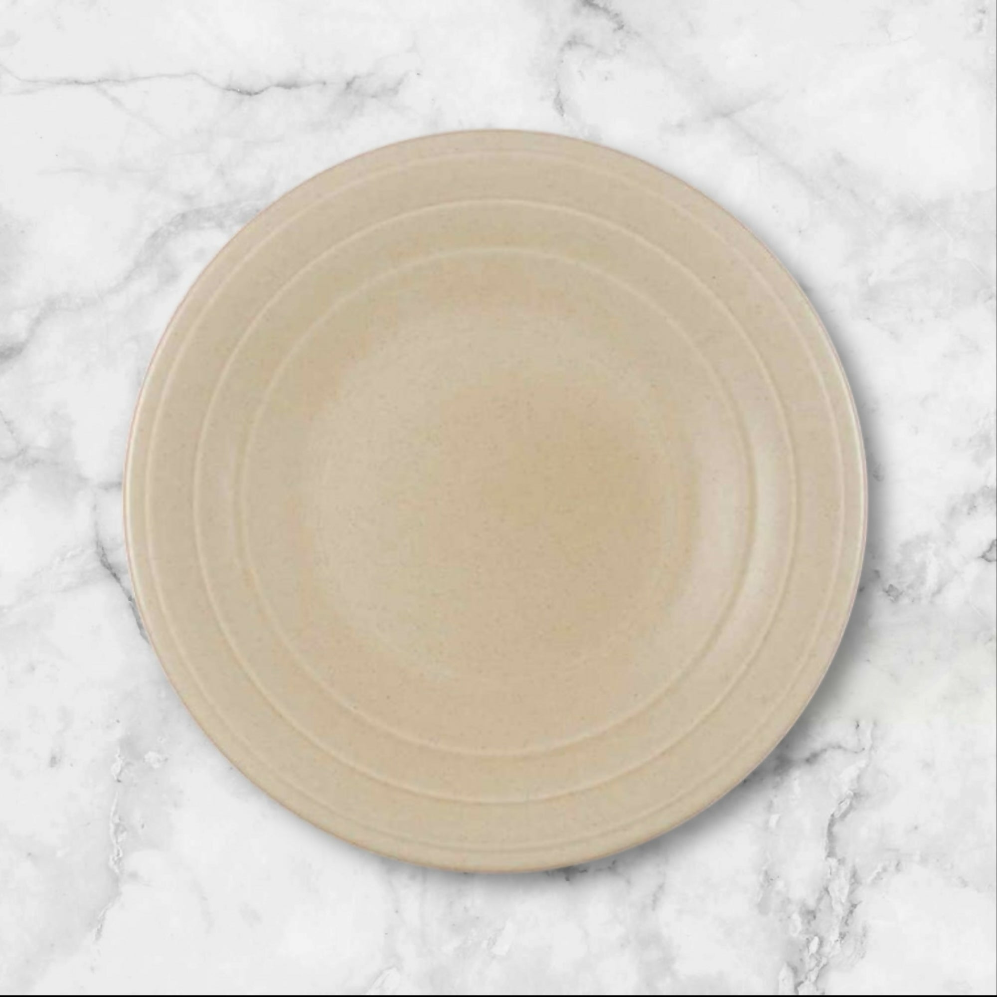 Villa Romana Speckled Stoneware Dinner Plates | Set of 4 | Gently Used