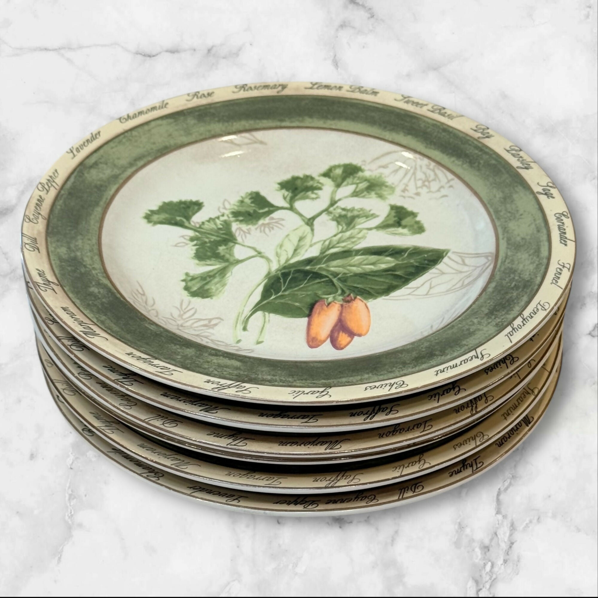 American Atelier Bouquet Garni Salad Plates | Set of 6 | Excellent Condition