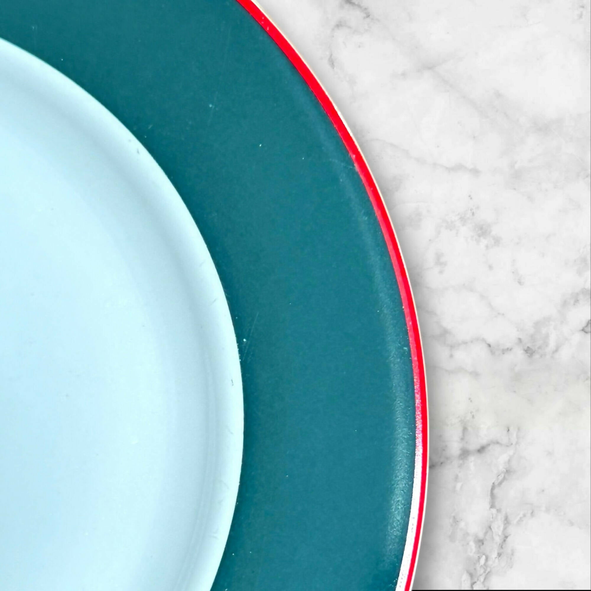 Furio Contemporary Casuals Poinsettia Dinner Plates | Set of 4 | Great Condition