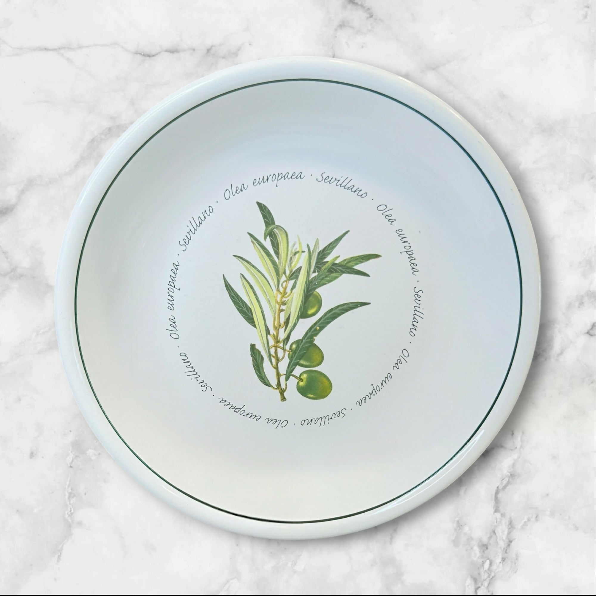 Williams Sonoma WSO20 Olive Pasta Bowls | Set of 4 | Great Condition
