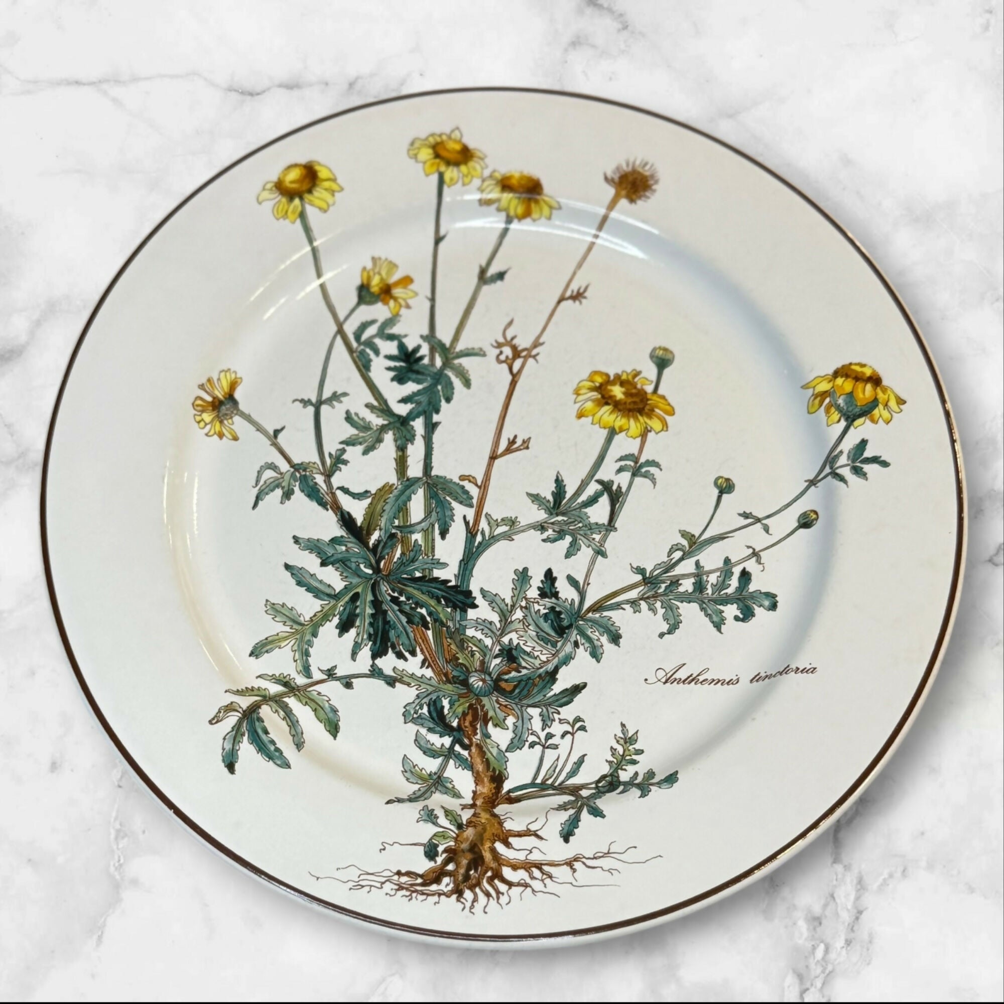 Villeroy & Boch Botanica Salad Plates Set of 4 | Great Condition