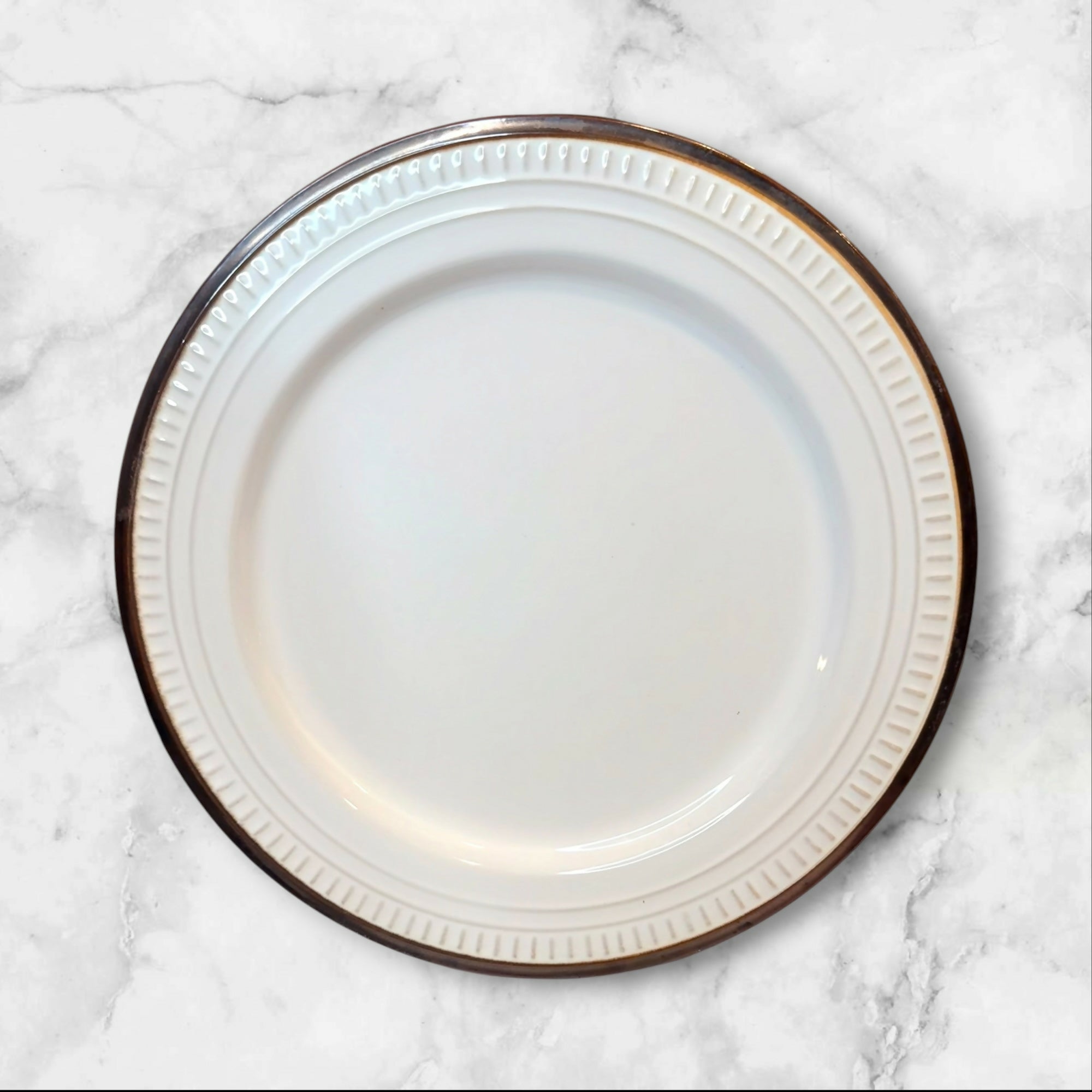 Food Network Biscotti White Dinner Plates Set of 5 Great Condition