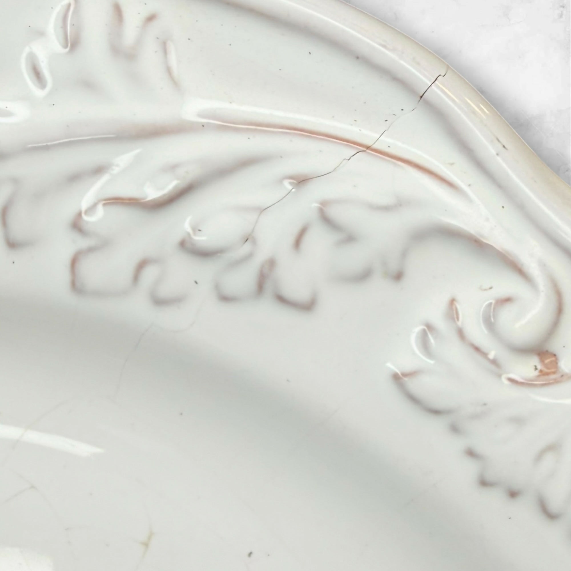 World Market White Provencal Dinner Plates | Gently Used Set of 5