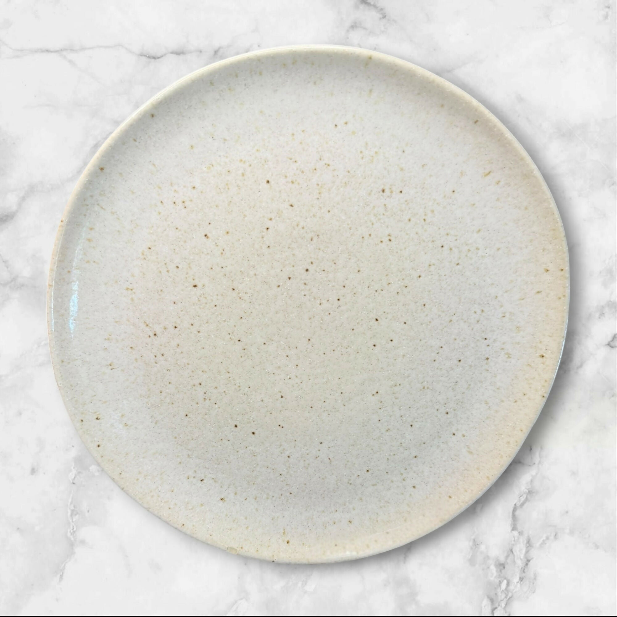 Crate & Barrel Wilder Dinner Plates | Set of 2 | Excellent Condition