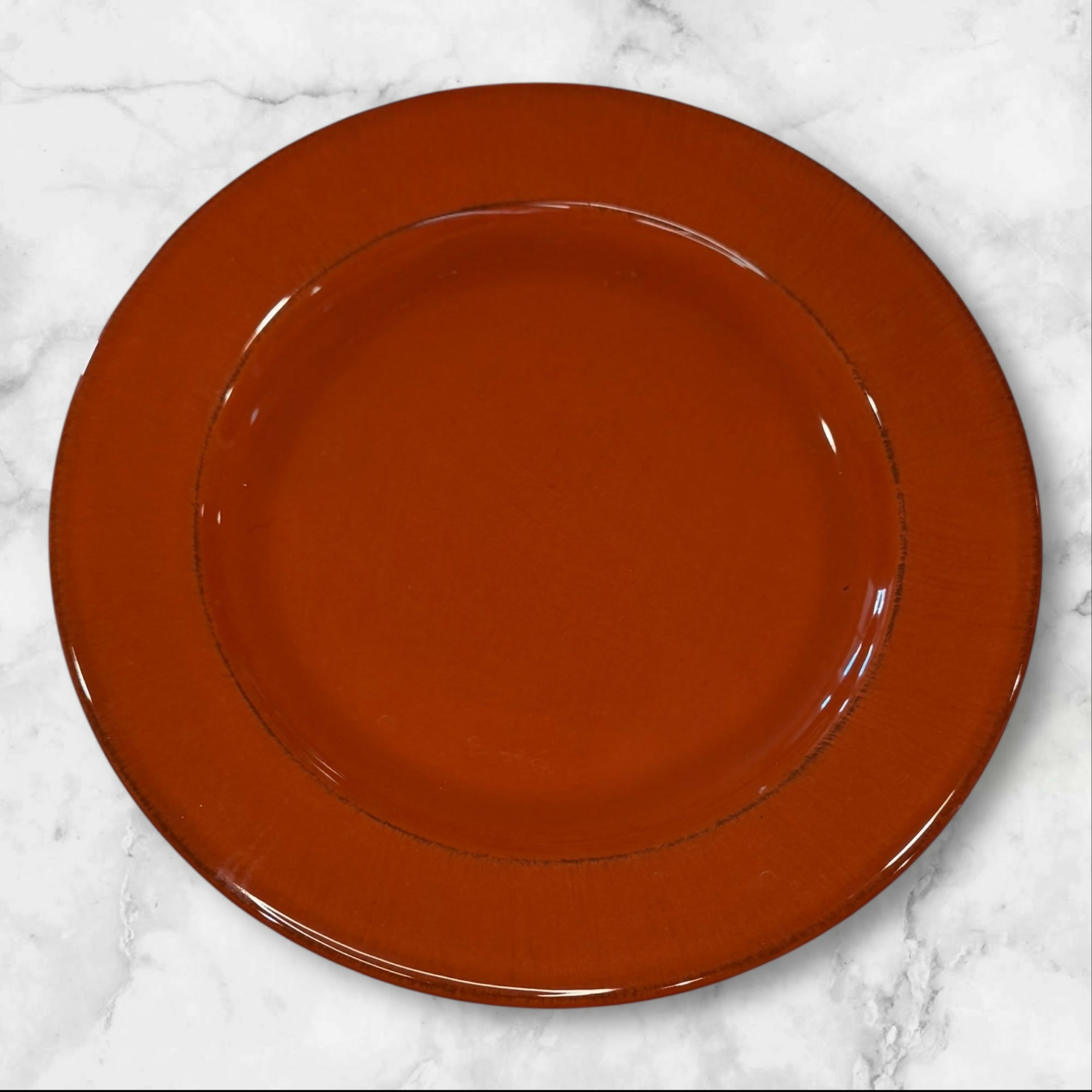 Pier 1 Toscana Terracotta Dinner Plates Set of 2 | Excellent Condition