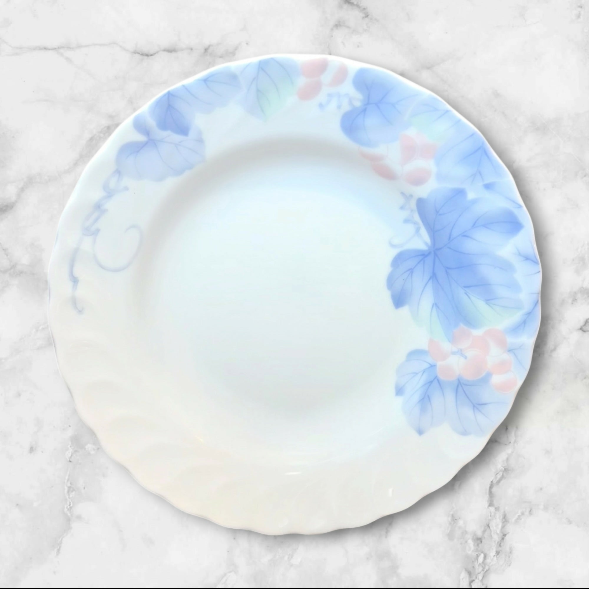 Tatung Kiln Grapevine Large Rim Soup Bowls | Set of 4 | Excellent Condition
