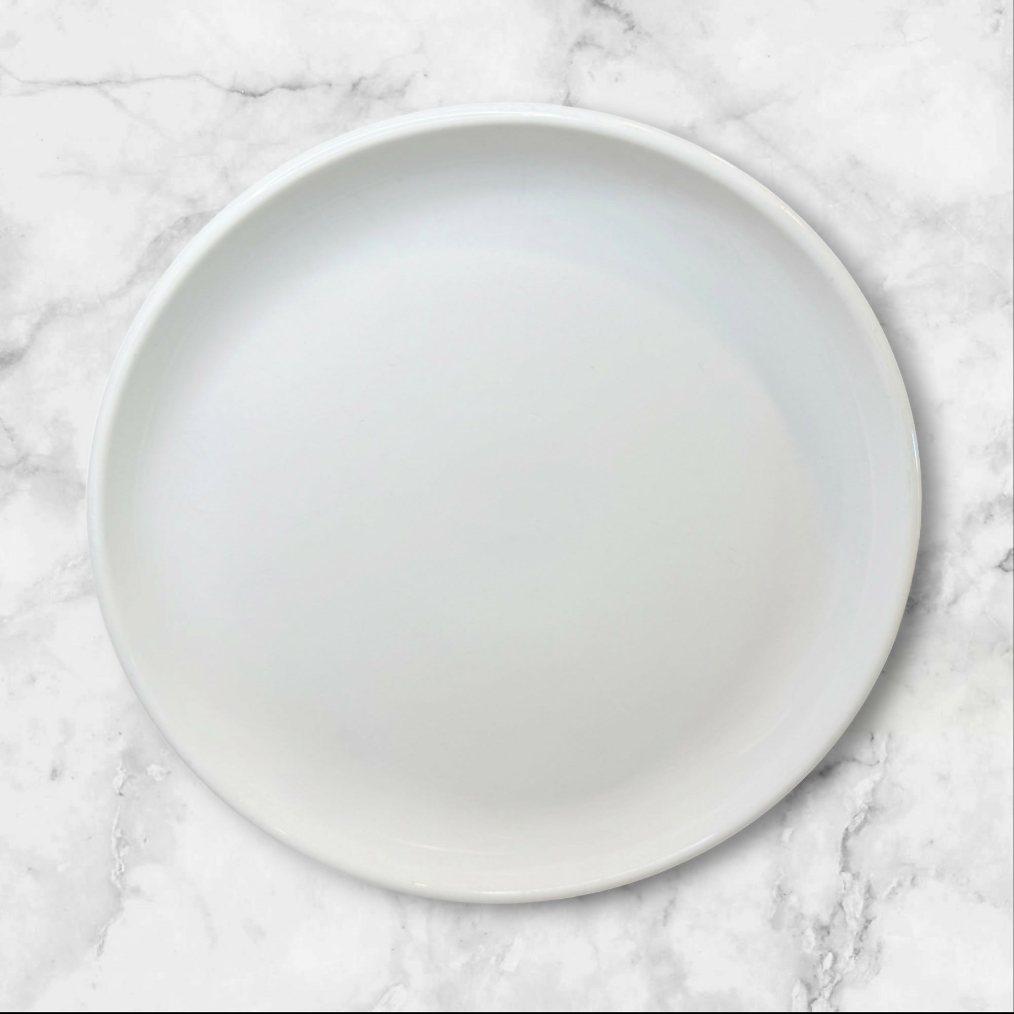 Crate & Barrel Culinary Arts Porcelain Dinner Plates | Set of 4 | Great Condition