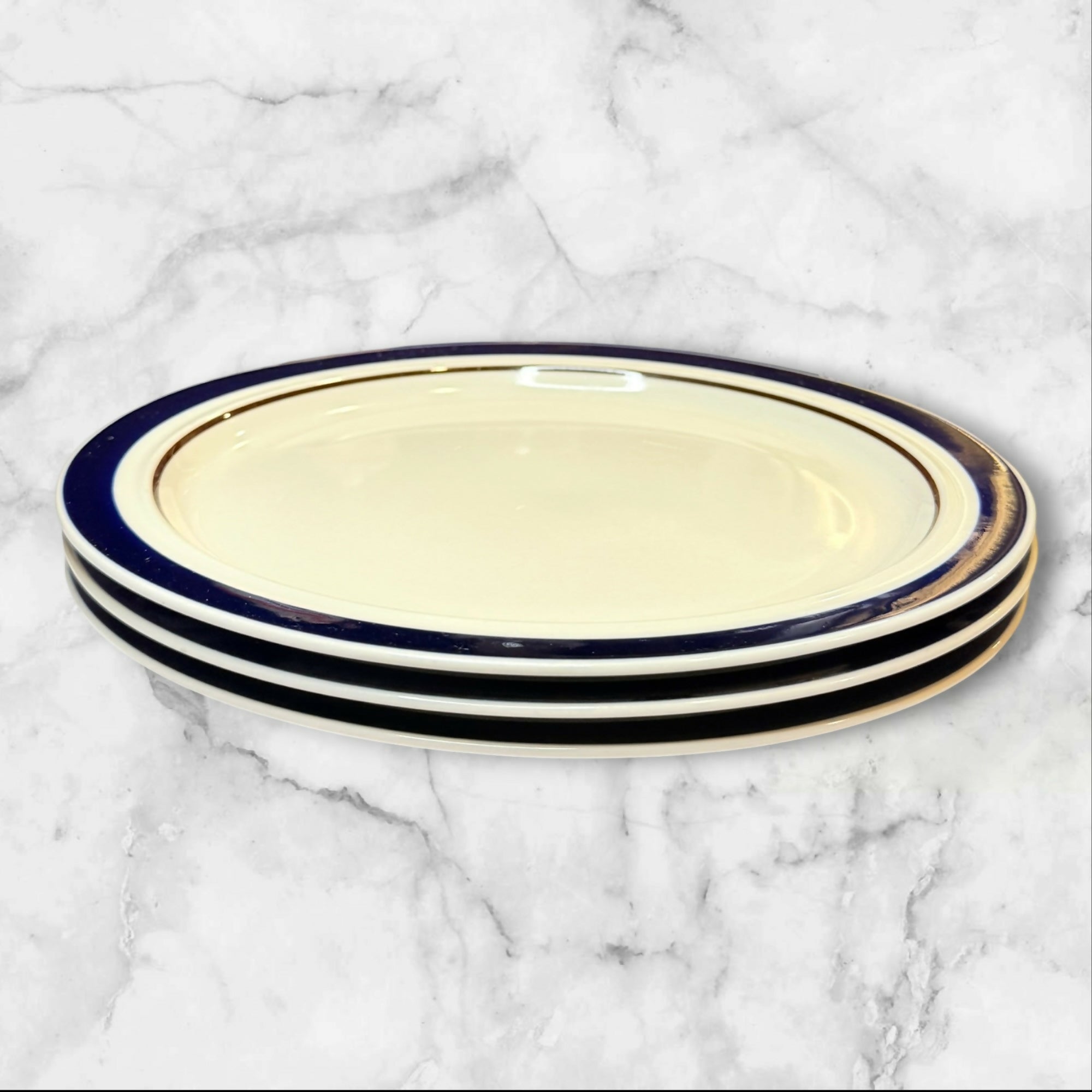 Newcor Prestige Cobalt Dinner Plates Set of 3 | Gently Used Condition
