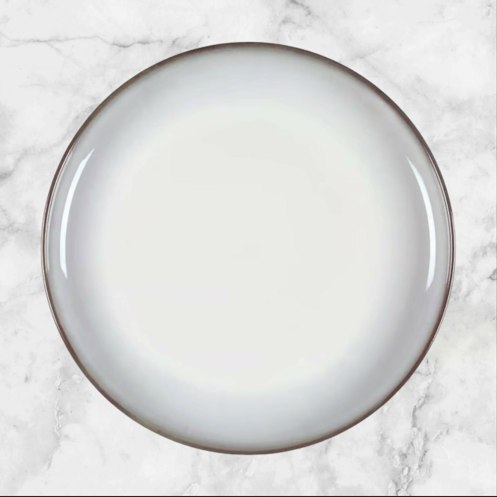 Sango Concepts Avocado Dinner Plates Set of 4 | Excellent Condition