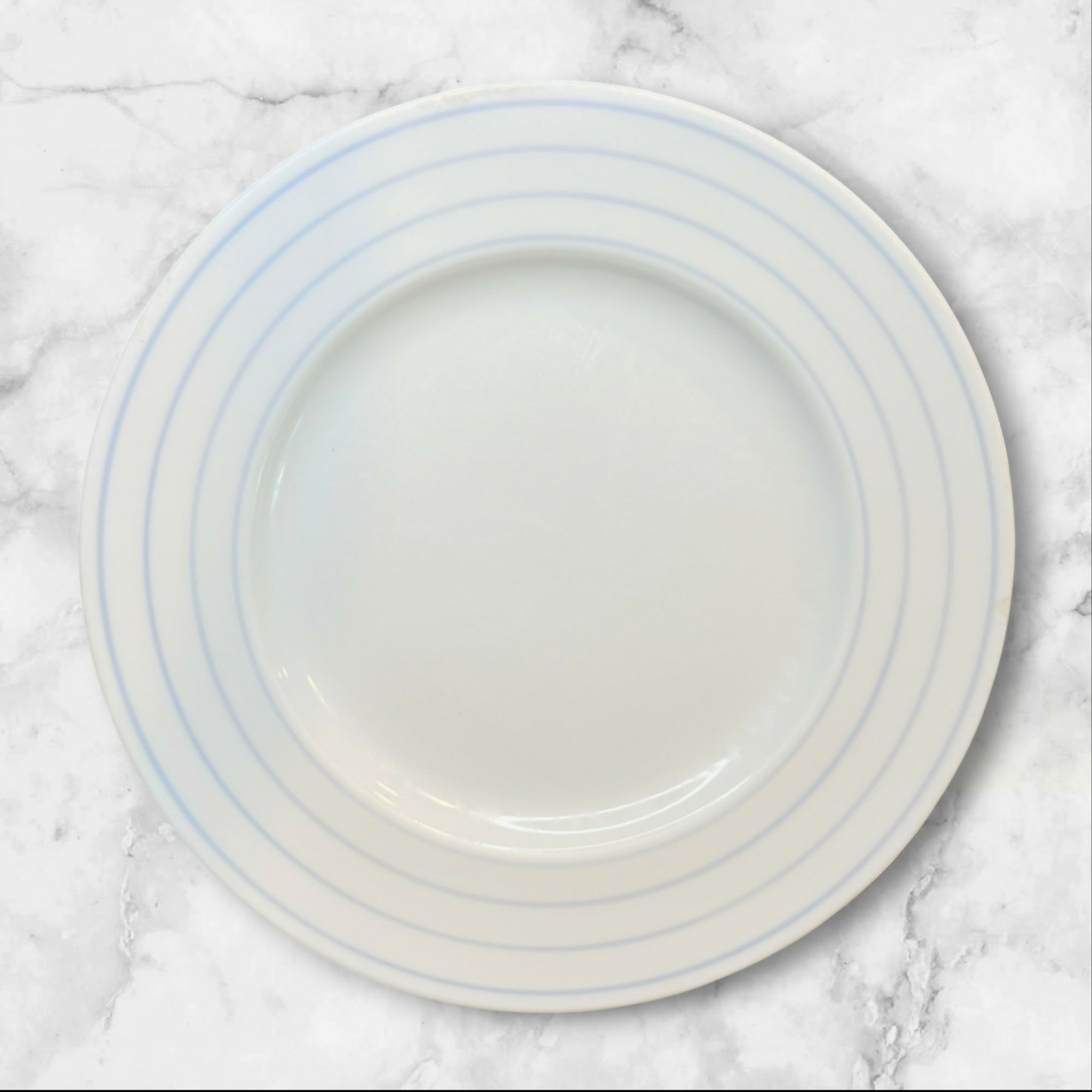 Crate & Barrel Jace Porcelain Dinner Plates | Set of 6 | Gently Used