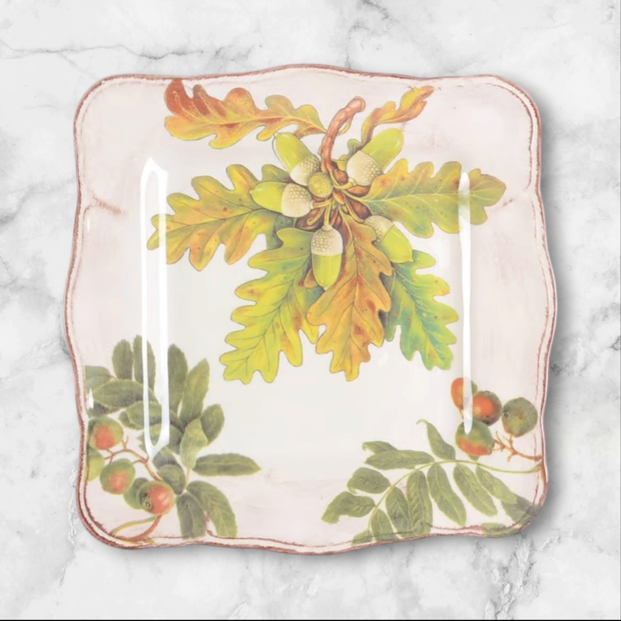 Sur La Table Acorn & Fig Square Luncheon Plates | Set of 5 | Excellent Condition