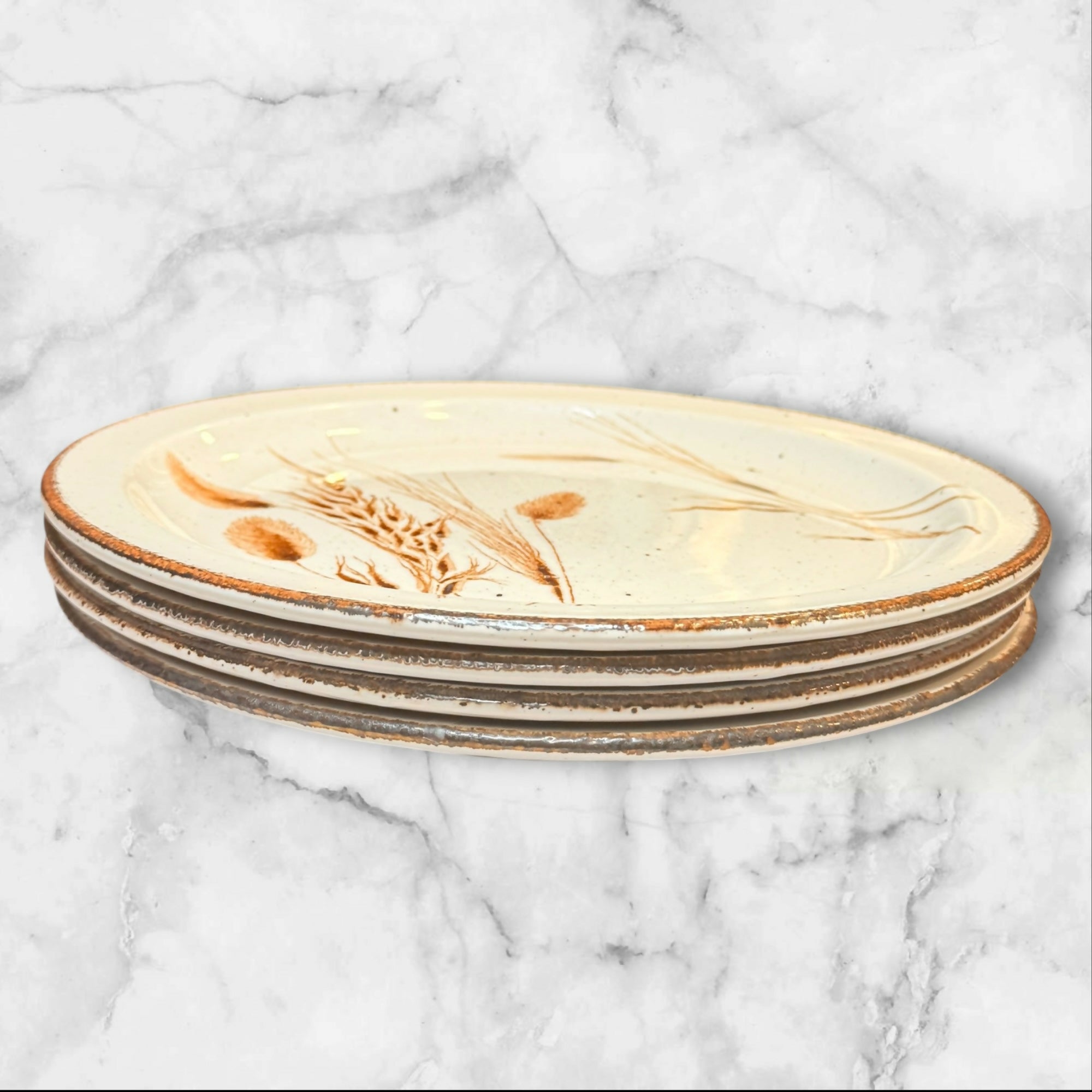 Stonehenge Wild Oats Dinner Plates by Midwinter | Set of 4 | Excellent Condition