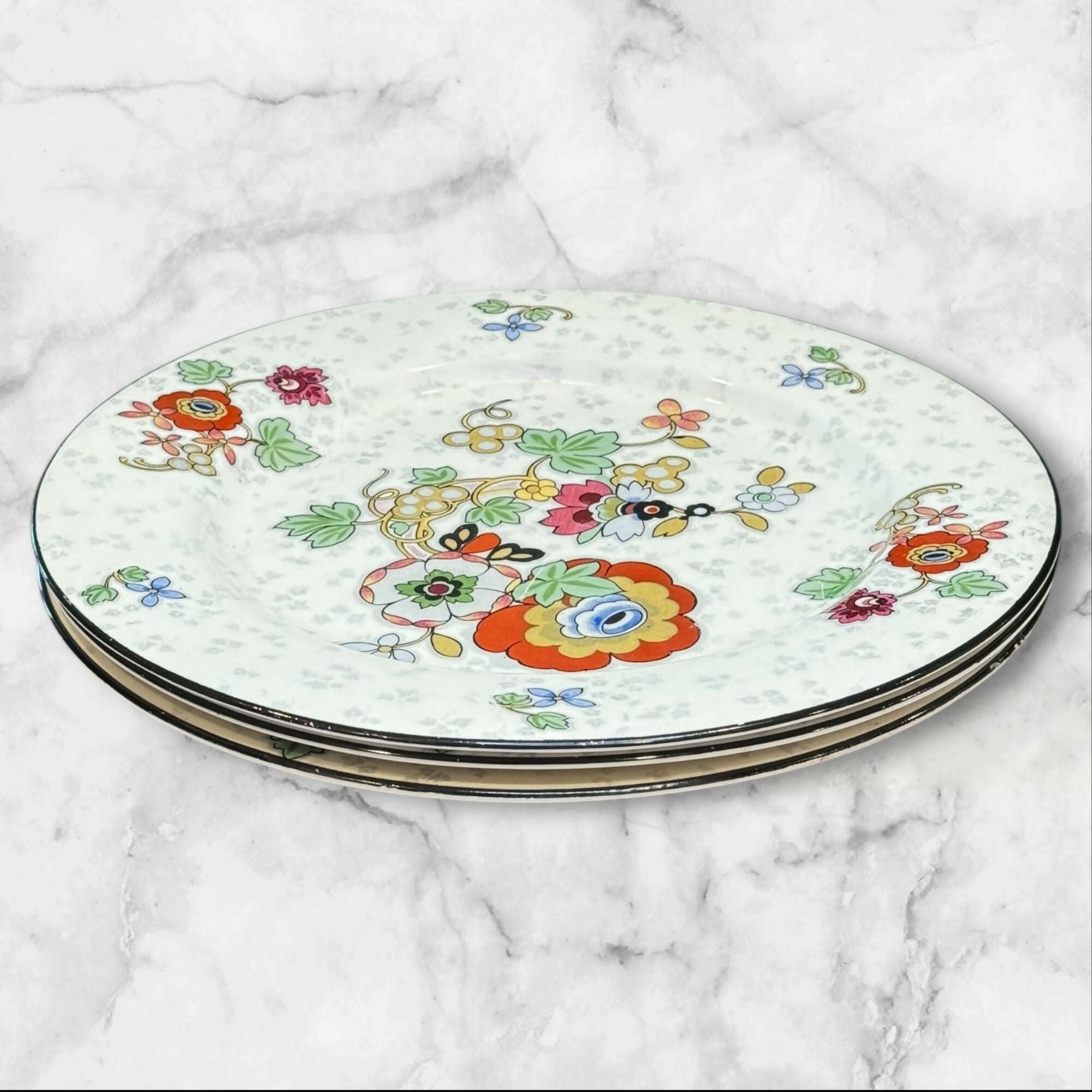 Ducal Crown China Floral Dinner Plates | Set of 3 | Good Condition