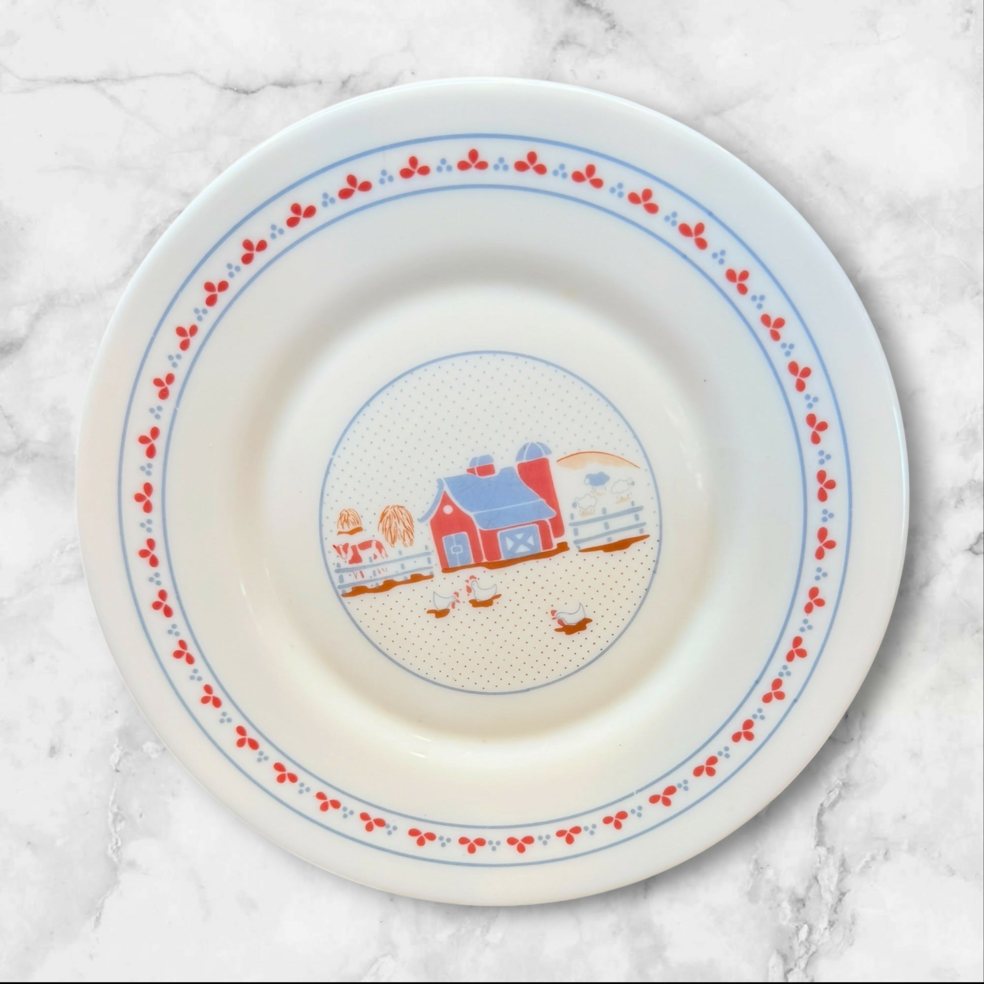 Arcopal Farmhouse Country Plate Set of 6 France | Gently Used Condition