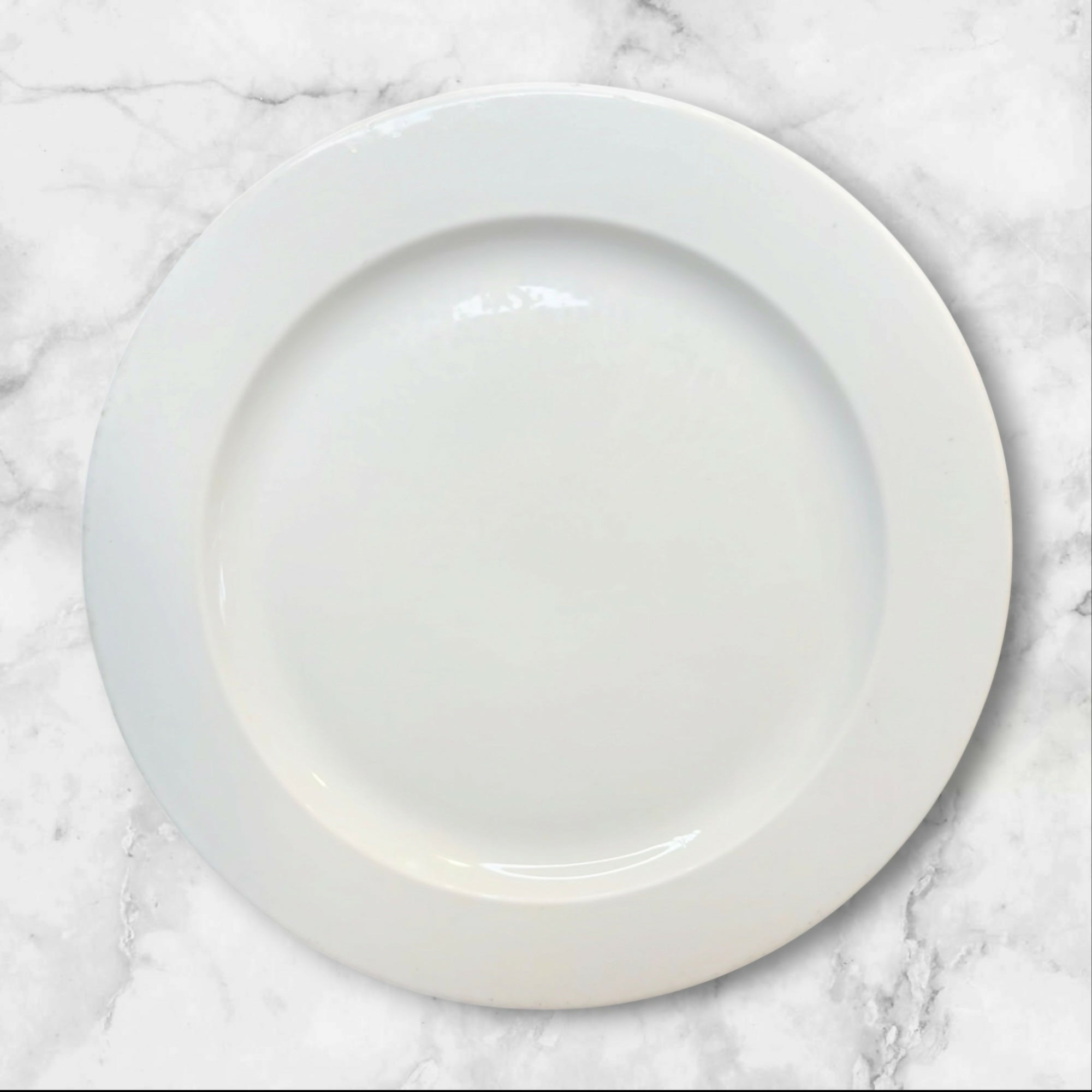 Steelite International England White Dinner Plates | Set of 4 | Good Condition