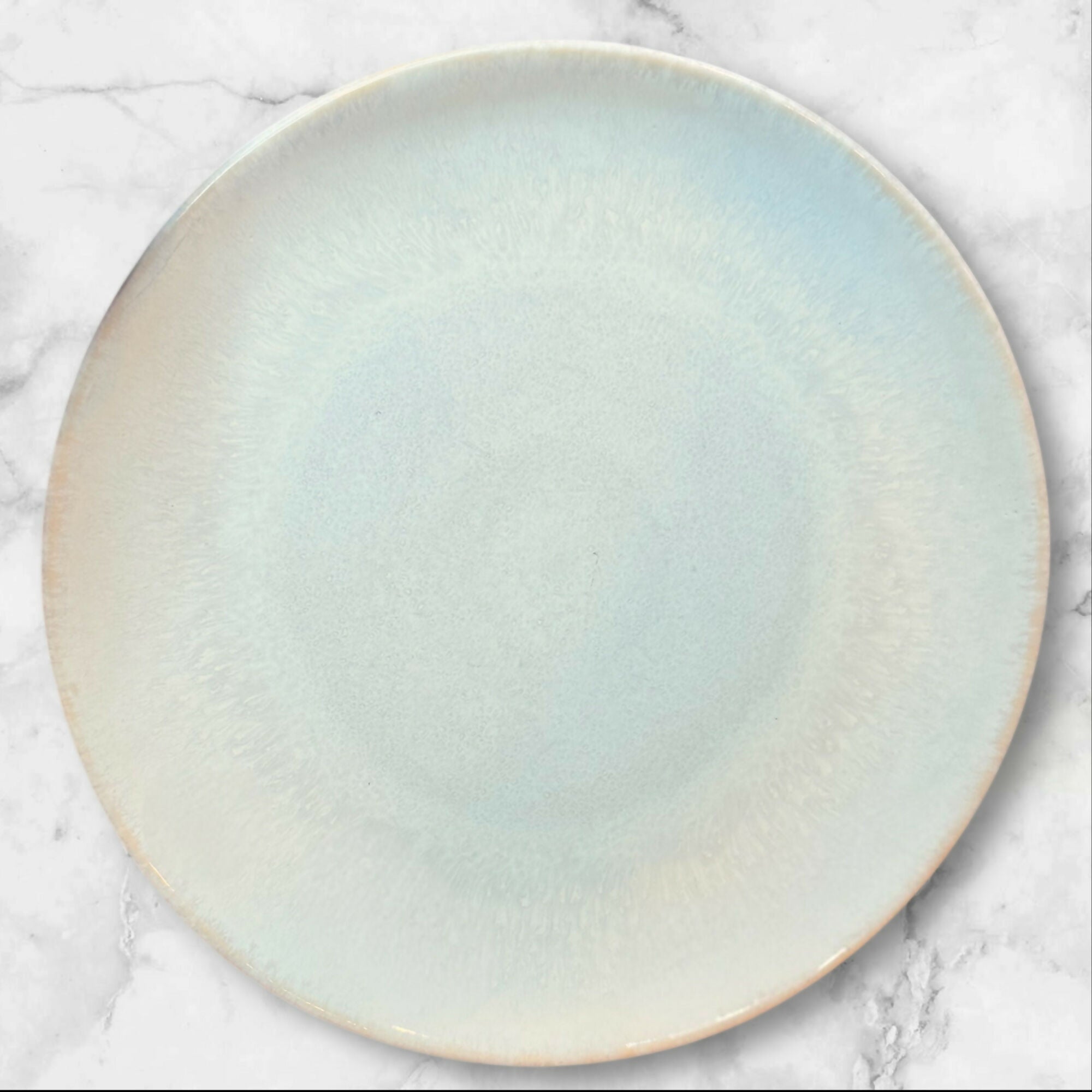 Williams Sonoma Cyprus Reactive Glaze Dinner Plates | Set of 4 | Excellent