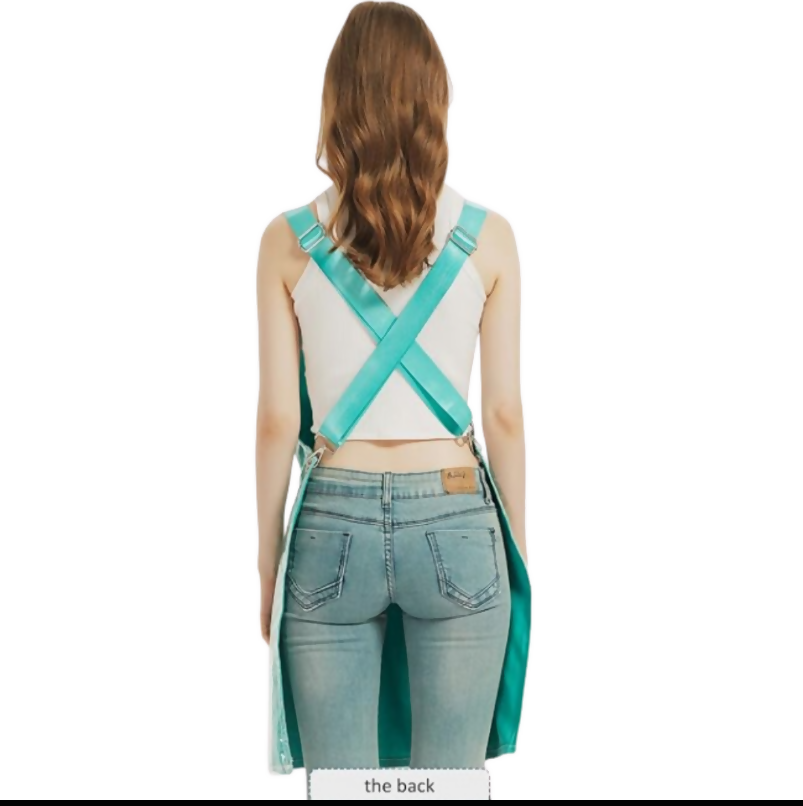 Anypron Sky Blue Waterproof Canvas Apron Double Layer Work Clothes