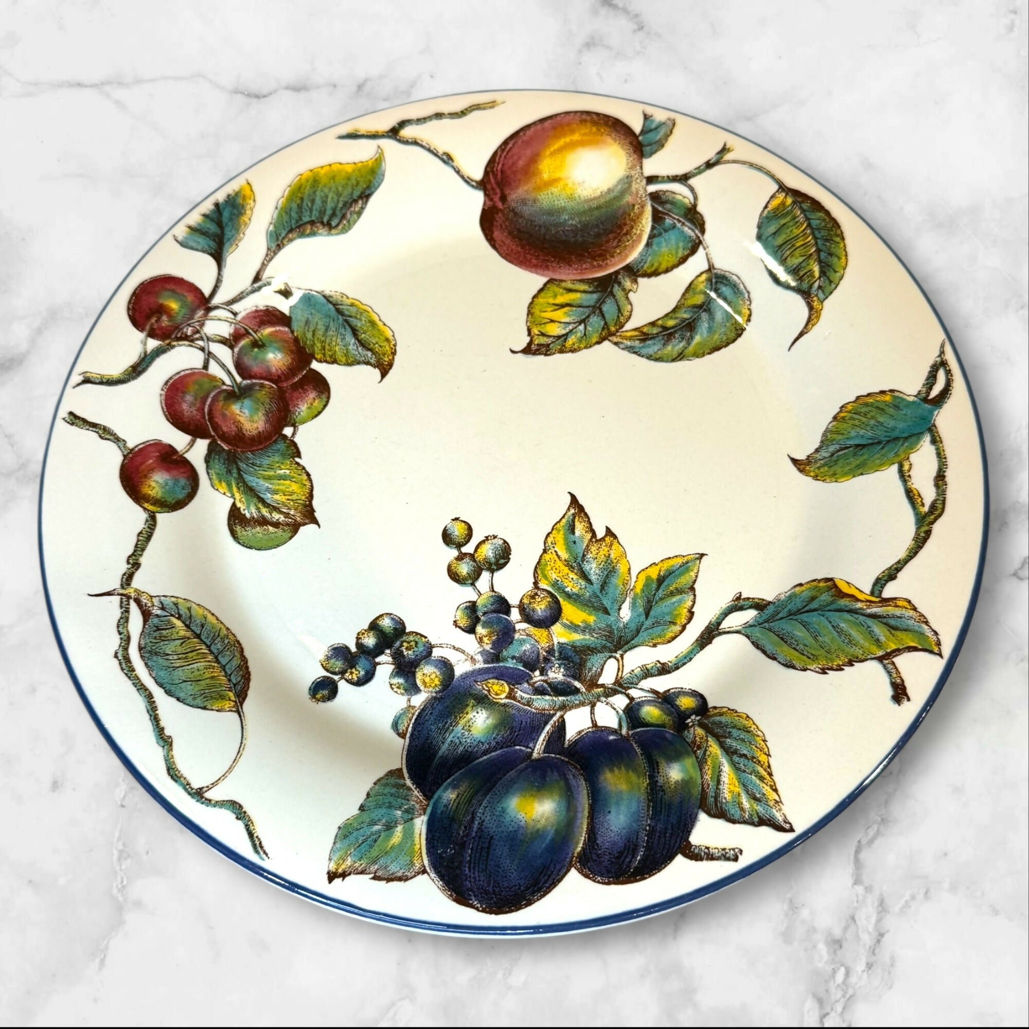 Pier 1 Macintosh Earthenware Dinner Plates & Soup Bowls | Set of 8 | Excellent Condition
