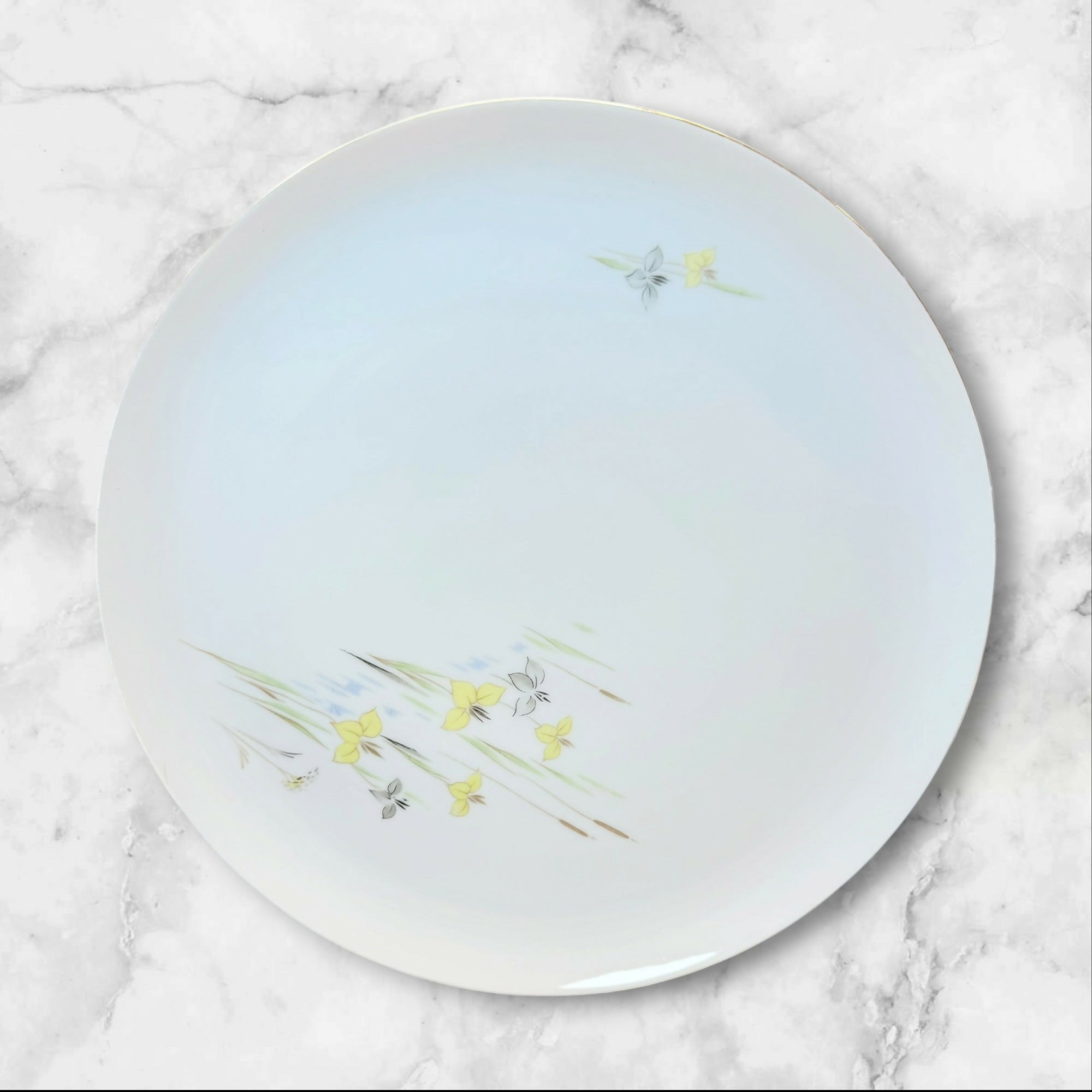 Eschenbach Baronet China Vivian Dinner Plates Set of 5 | Excellent Condition