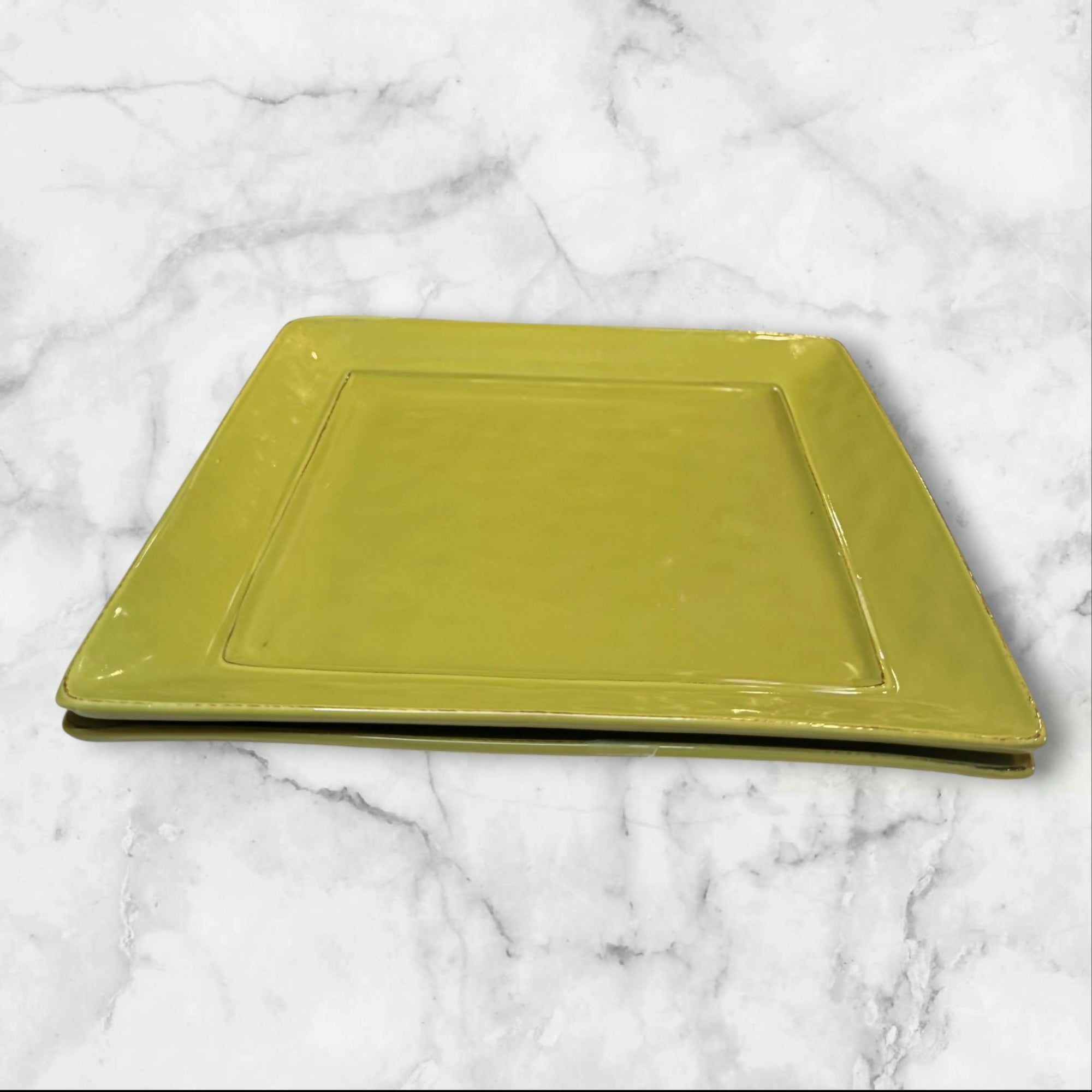 Pier 1 Martillo Sage Yellow Dinner Plates | Set of 2 | Great Condition