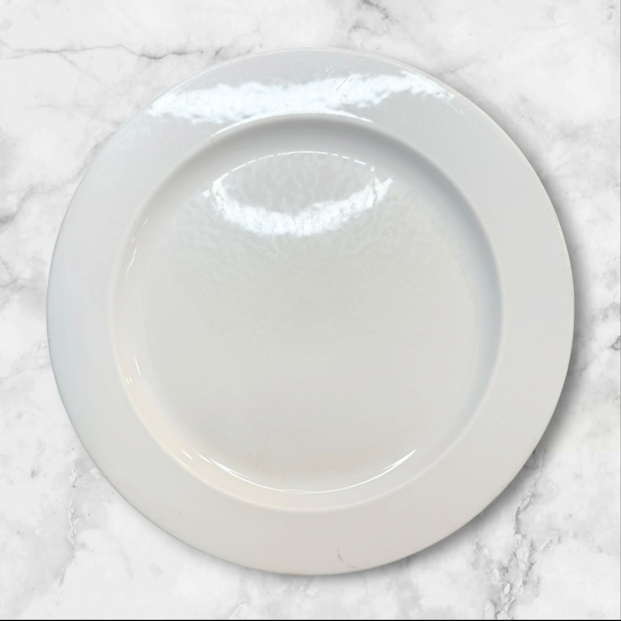 Steelite International England White Dinner Plates | Set of 4 | Good Condition