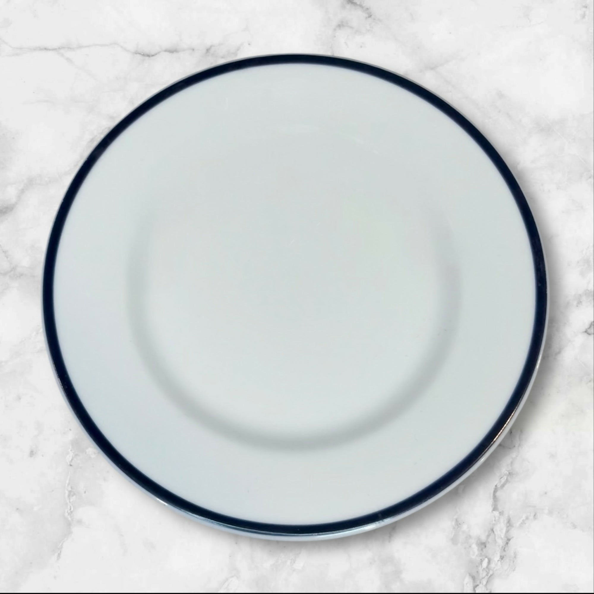 Crate & Barrel Cape Cod Bleu Bread & Butter Plates | Set of 4 | Excellent Condition