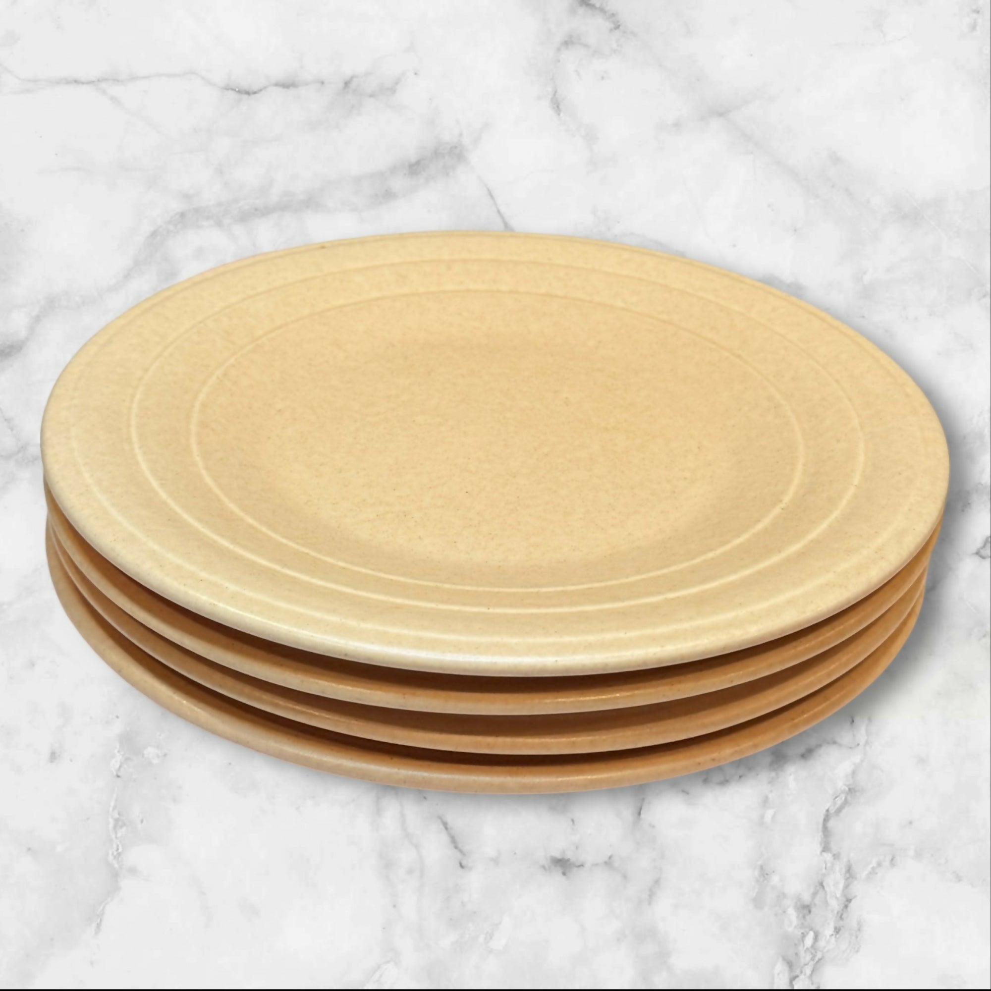 Villa Romana Speckled Stoneware Dinner Plates | Set of 4 | Gently Used