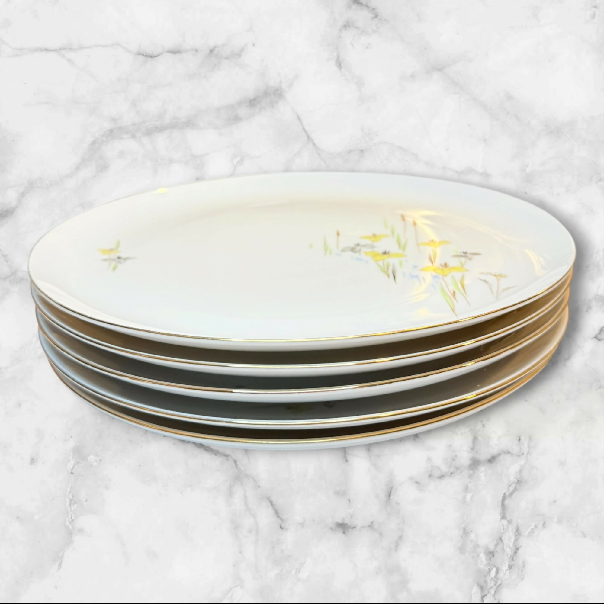 Eschenbach Baronet China Vivian Dinner Plates Set of 5 | Excellent Condition